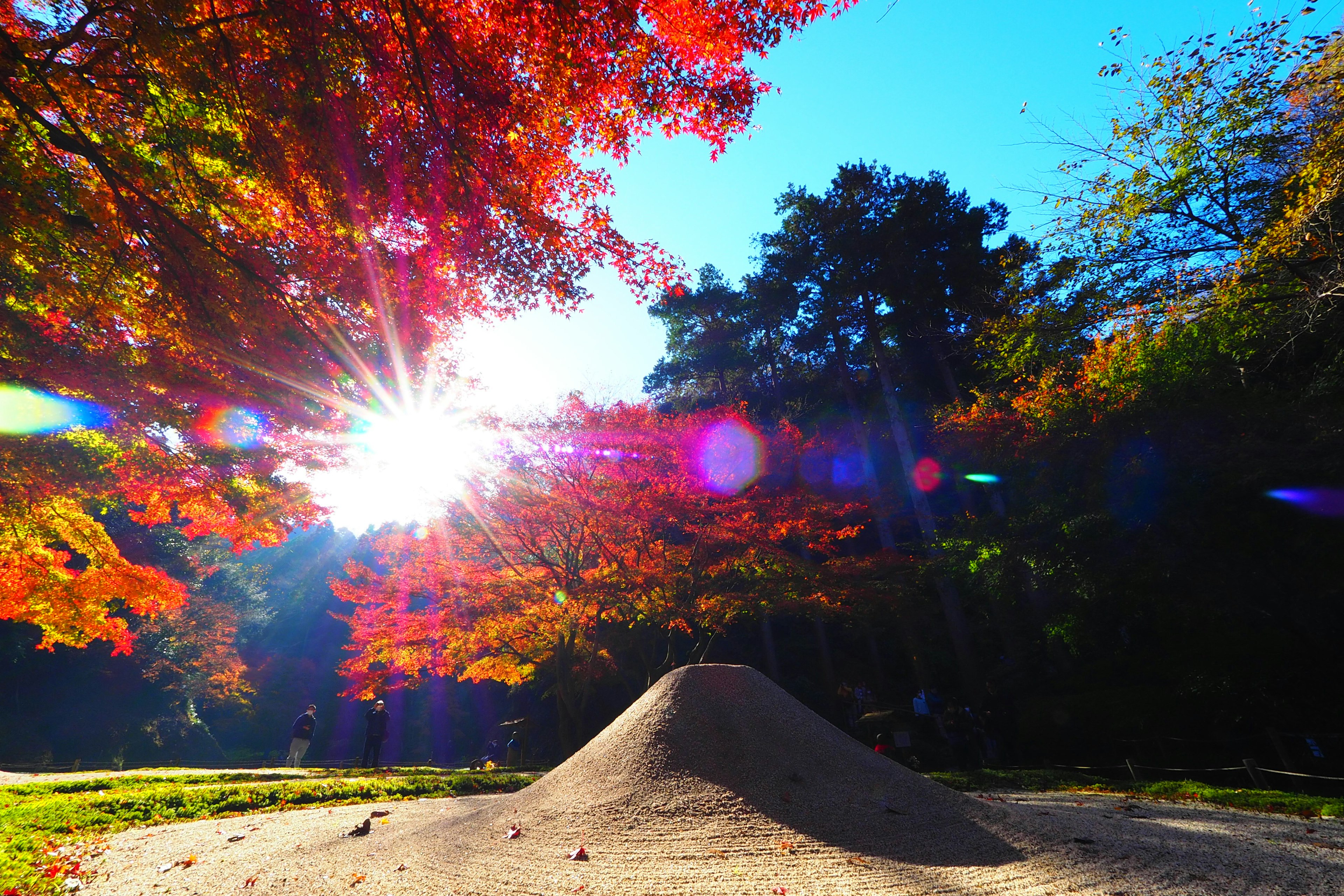 Vibrant autumn scene with colorful leaves and a sand mound