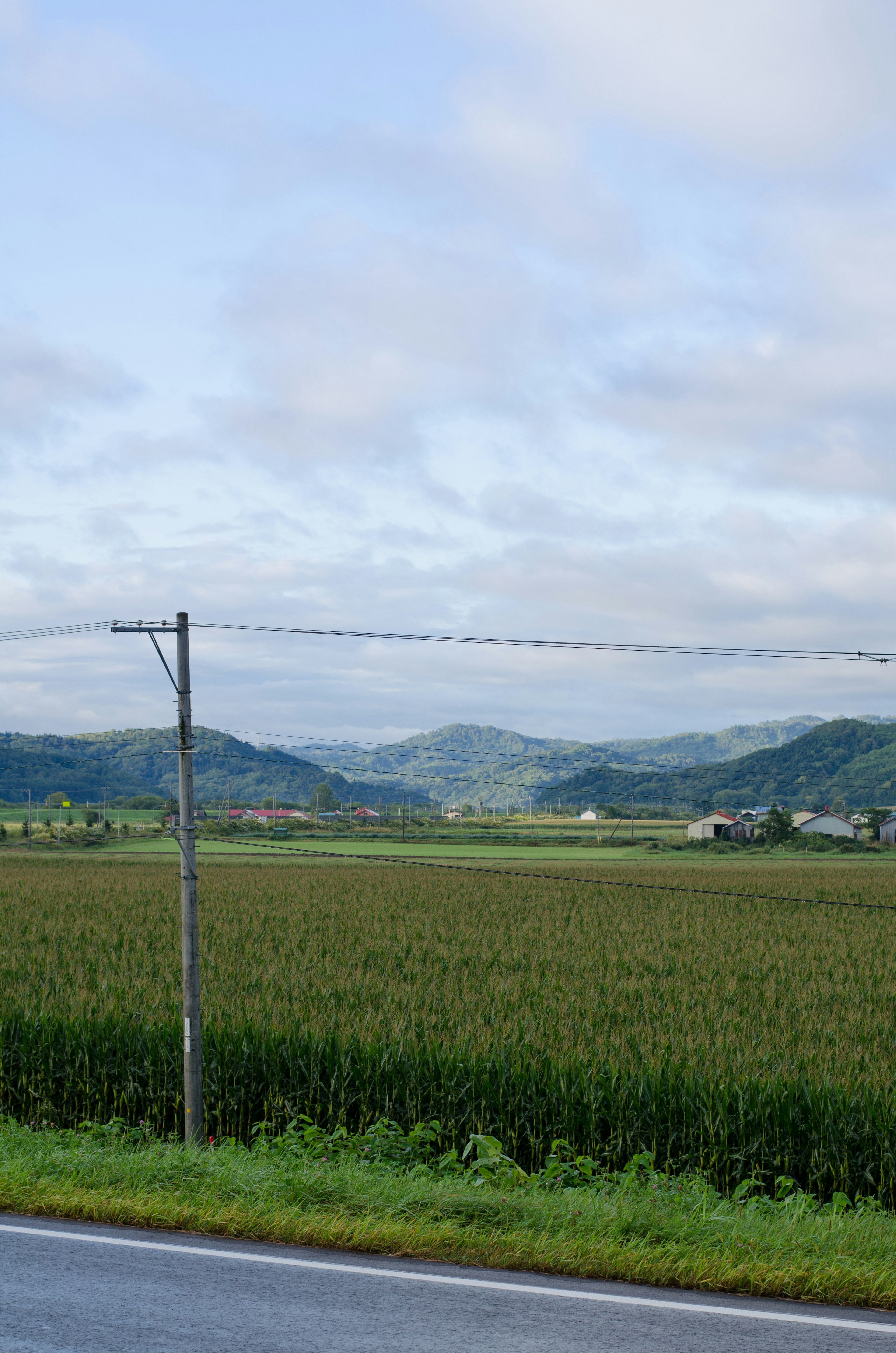 Paysage rural vaste sous un ciel bleu avec des nuages et des montagnes au loin