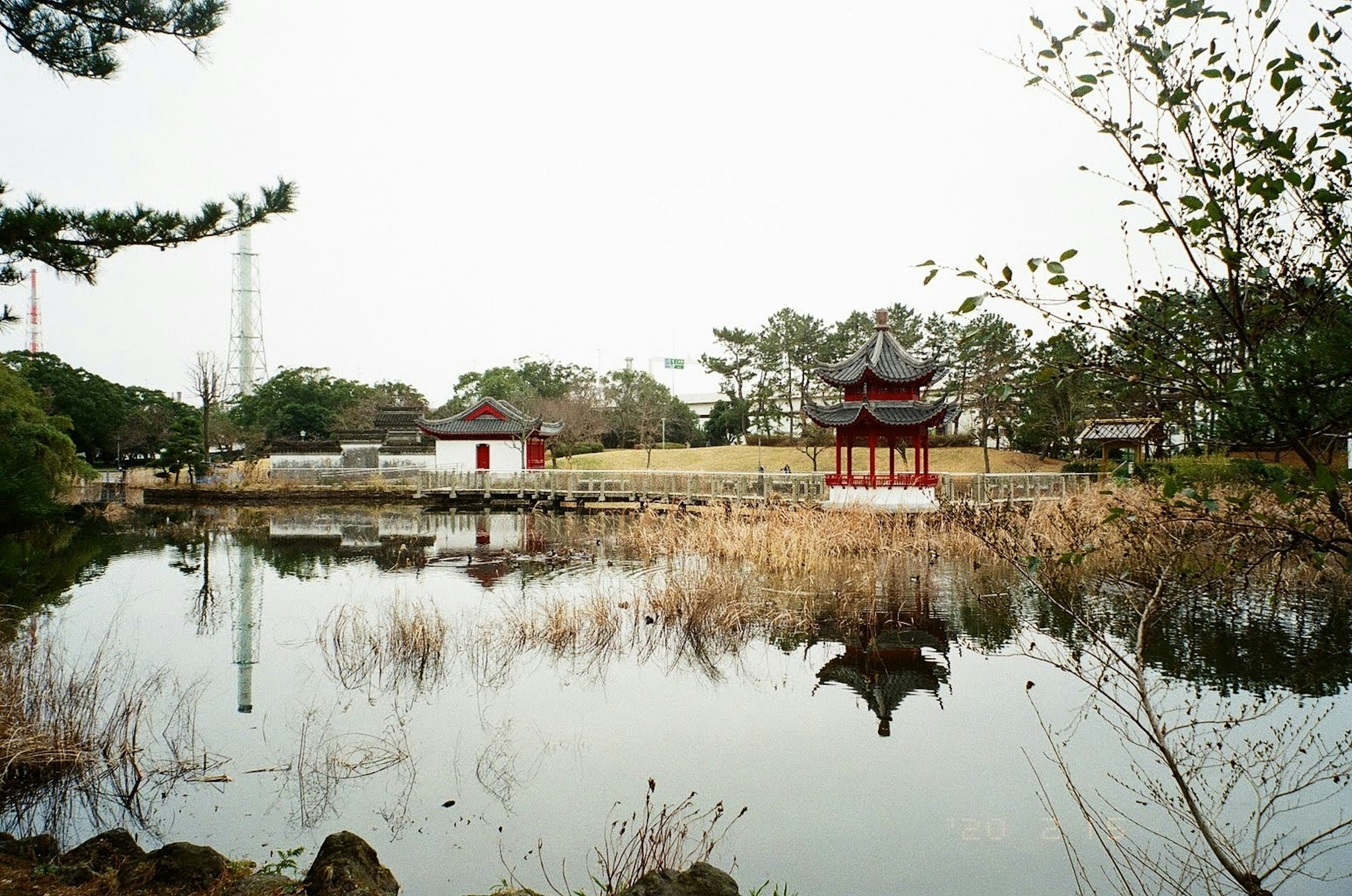 Scenic view of a tranquil pond with traditional architecture