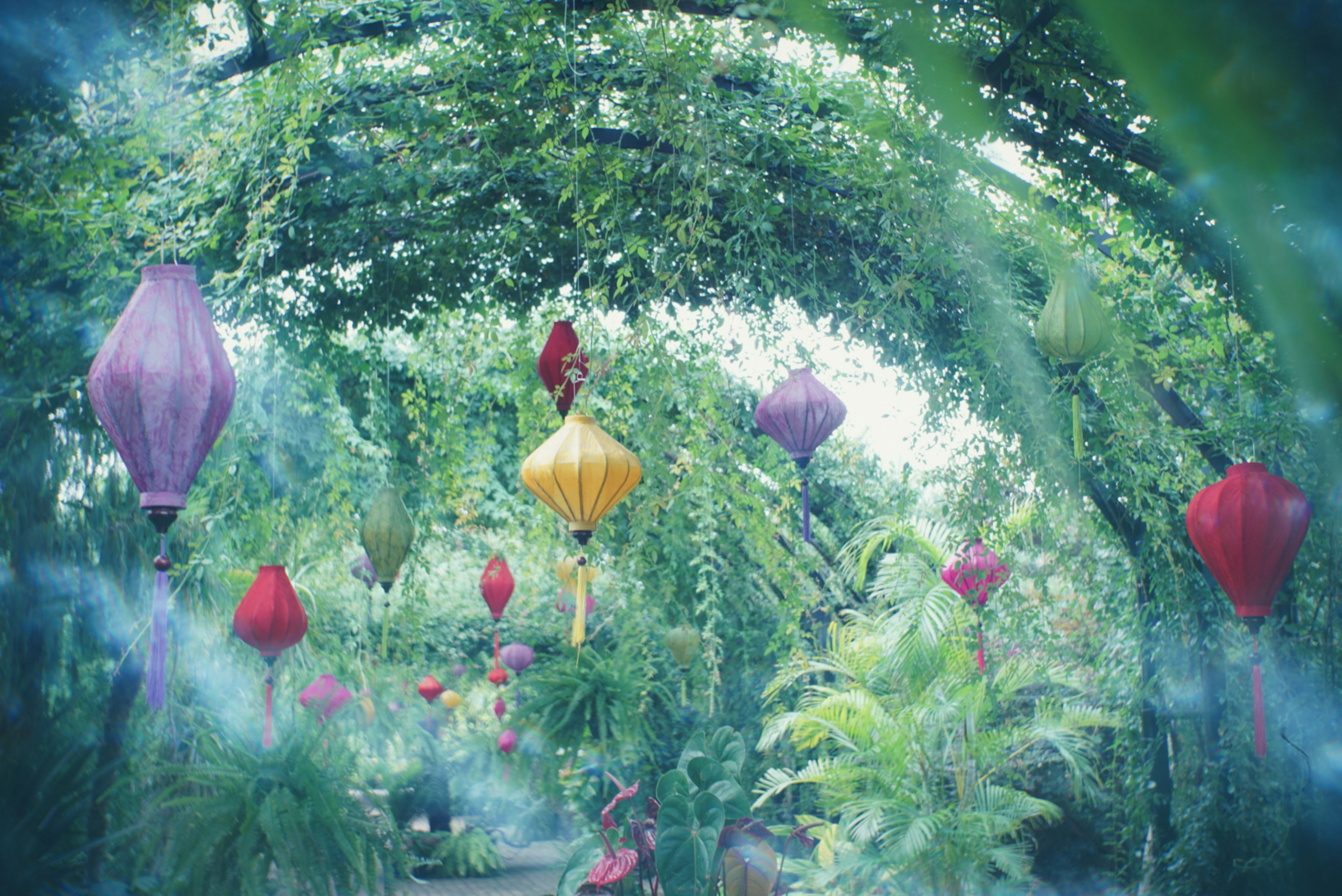 Vibrant lanterns hanging in a lush green archway