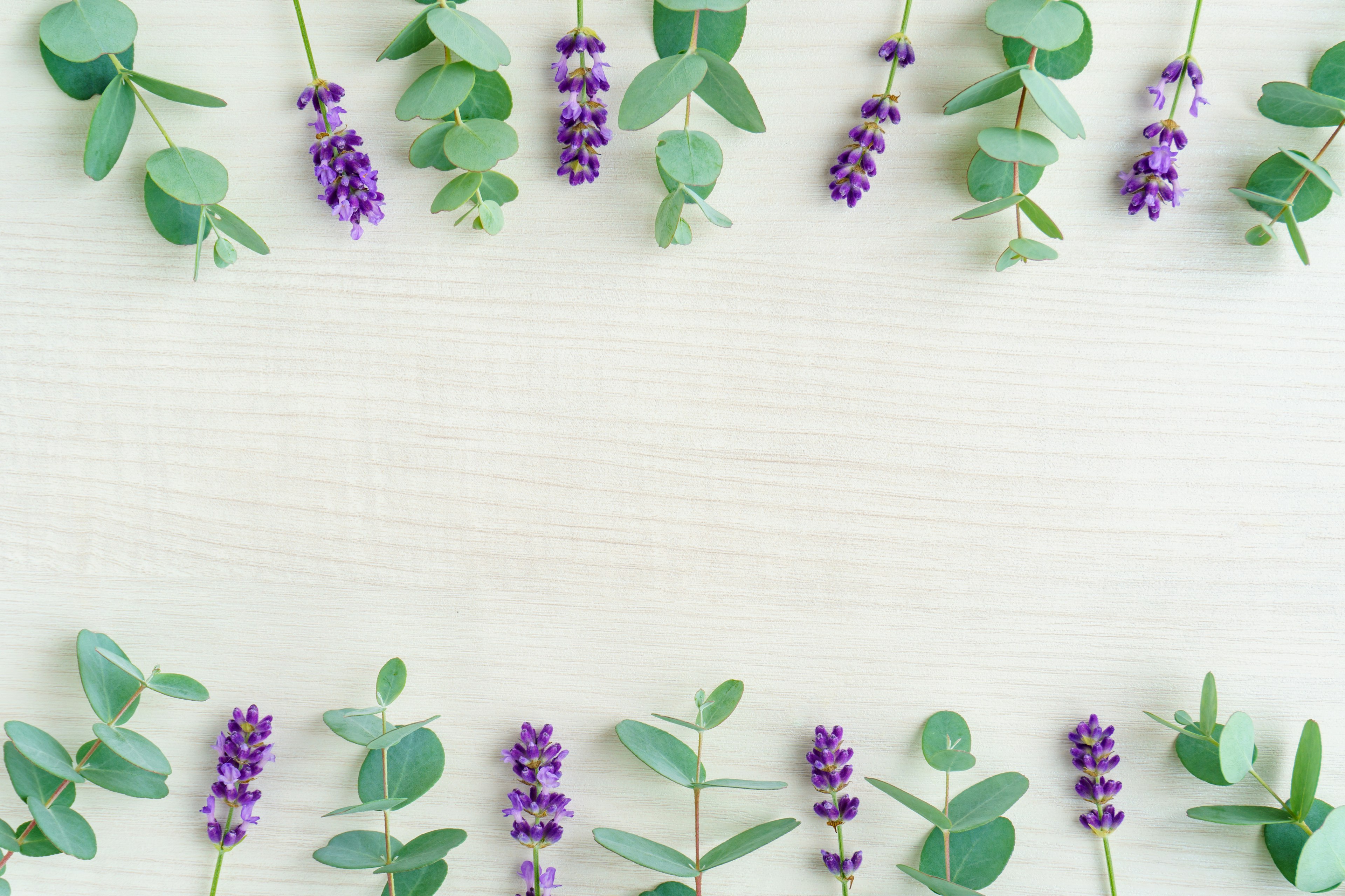 Hermosa disposición de hojas verdes y flores moradas