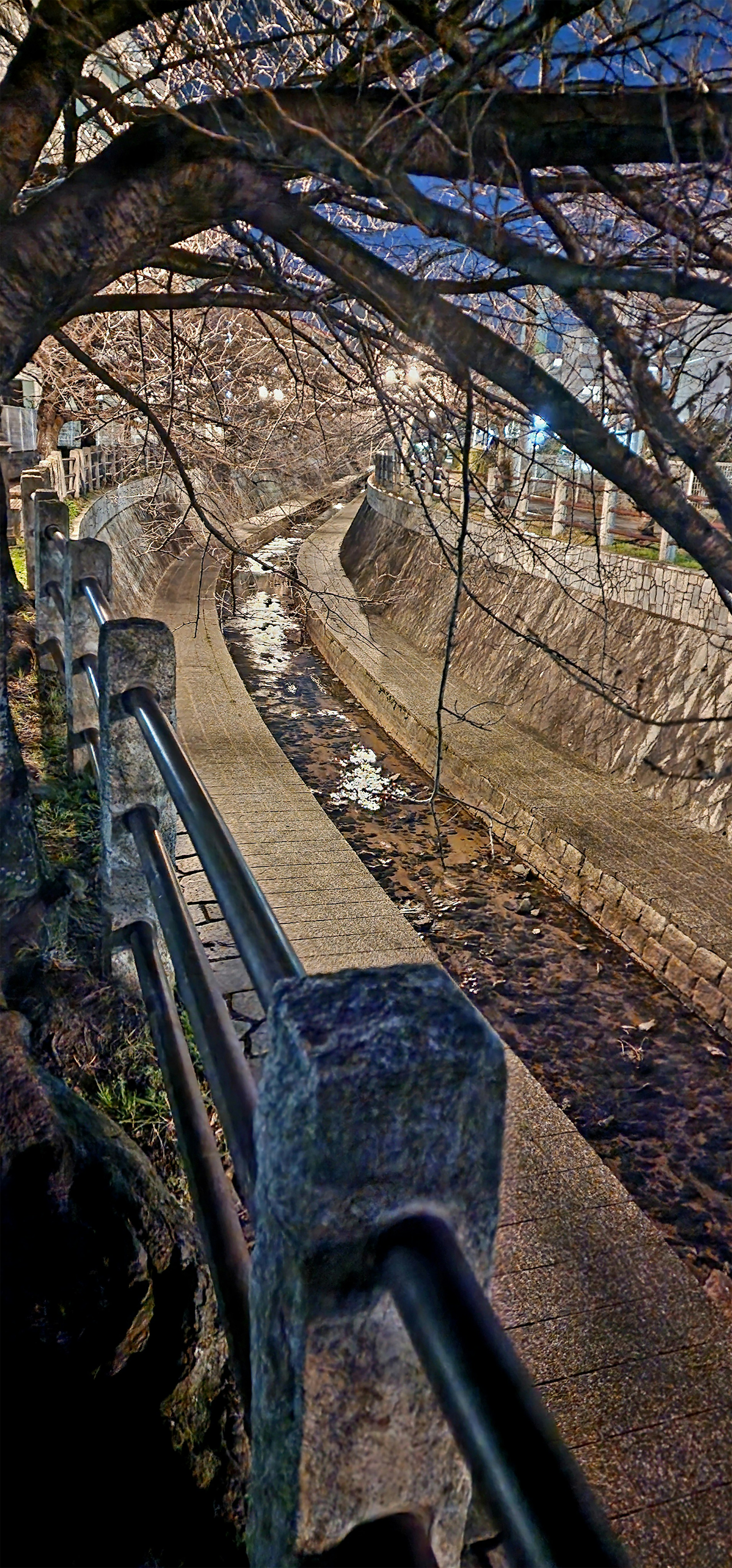 Curved pathway with a metal railing surrounded by trees