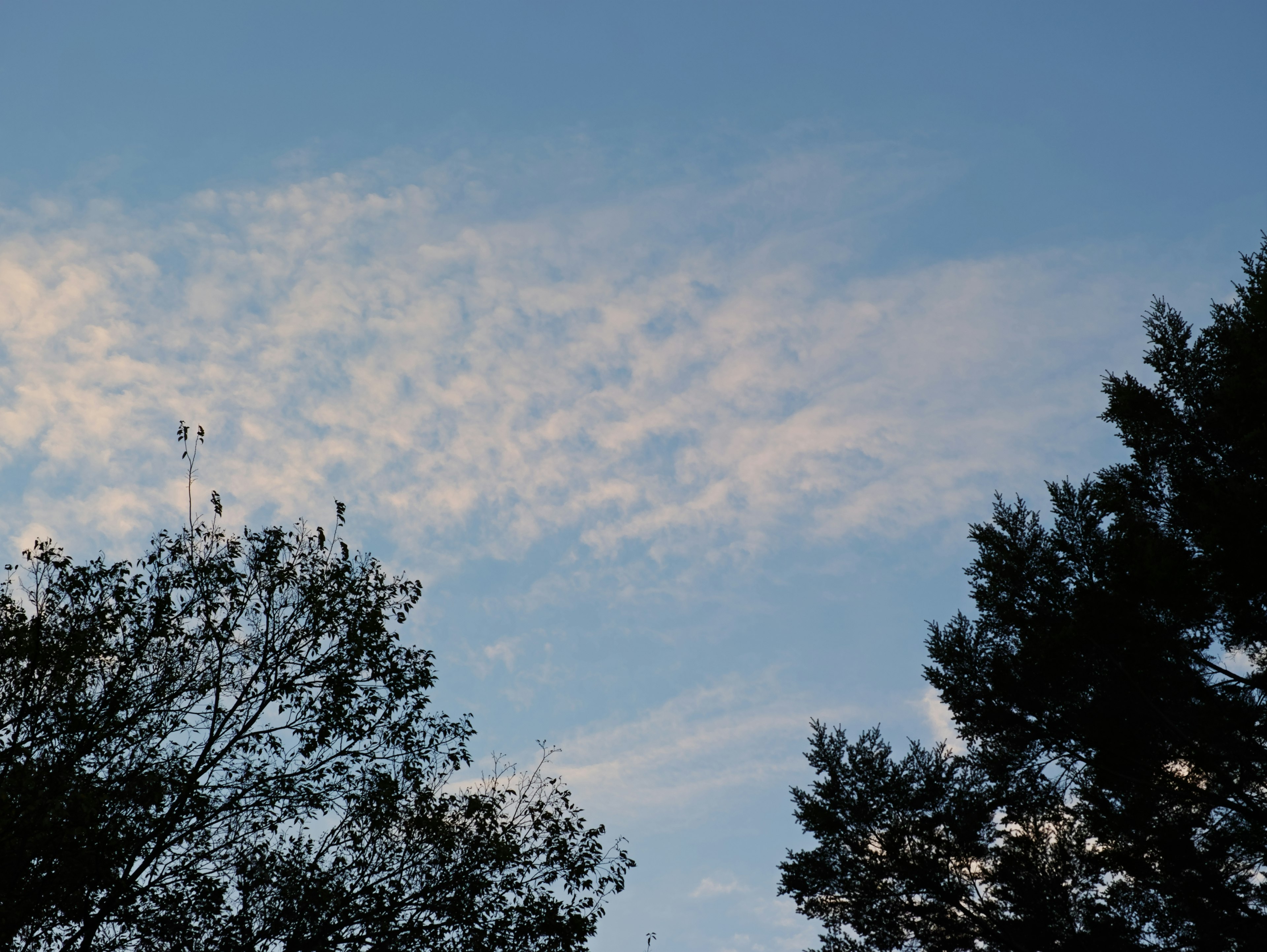 Un paisaje con cielo azul, nubes y árboles