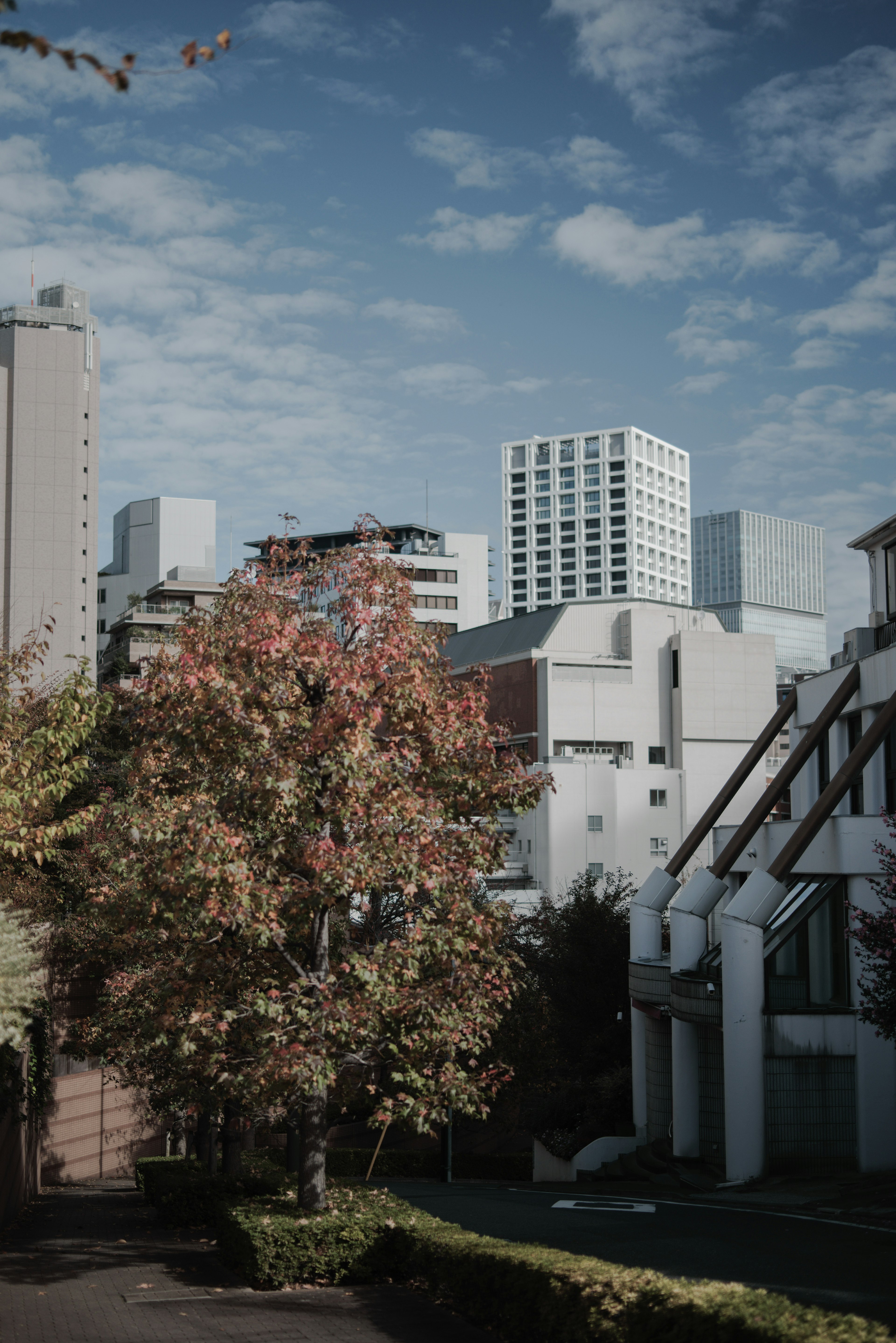 Moderne Gebäude unter einem blauen Himmel mit Wolken und einem Herbstbaum