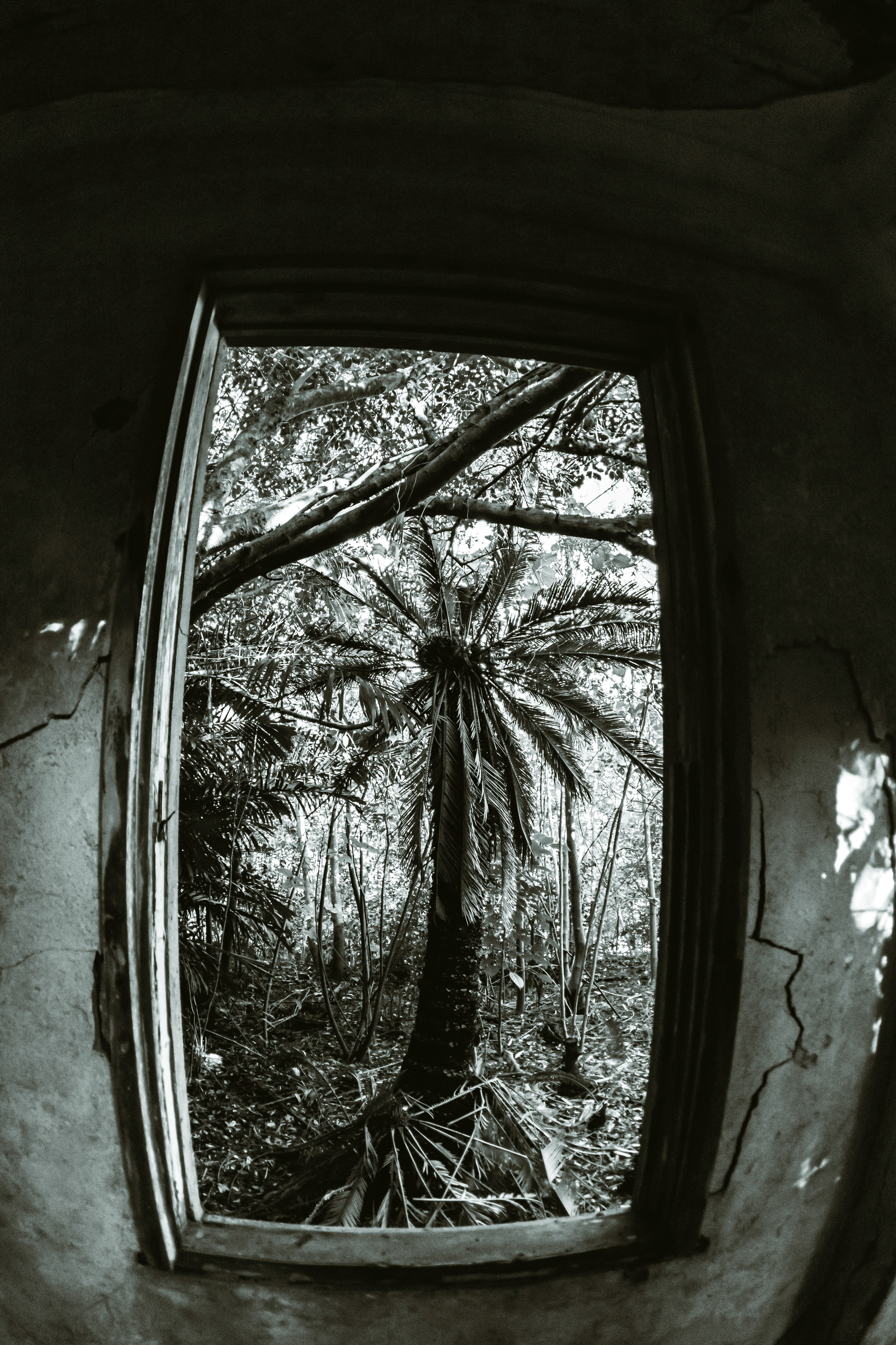 Contrast of trees outside the window and the interior of an old building