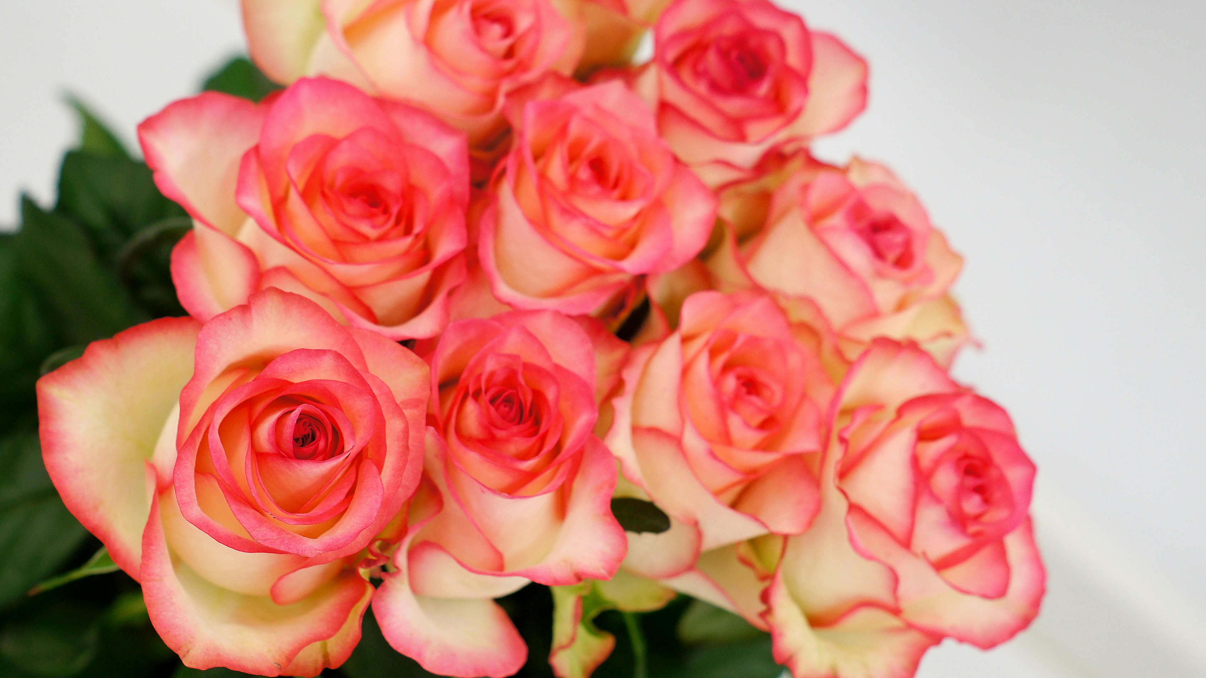 Ein schöner Strauß aus rosa und cremefarbenen Rosen