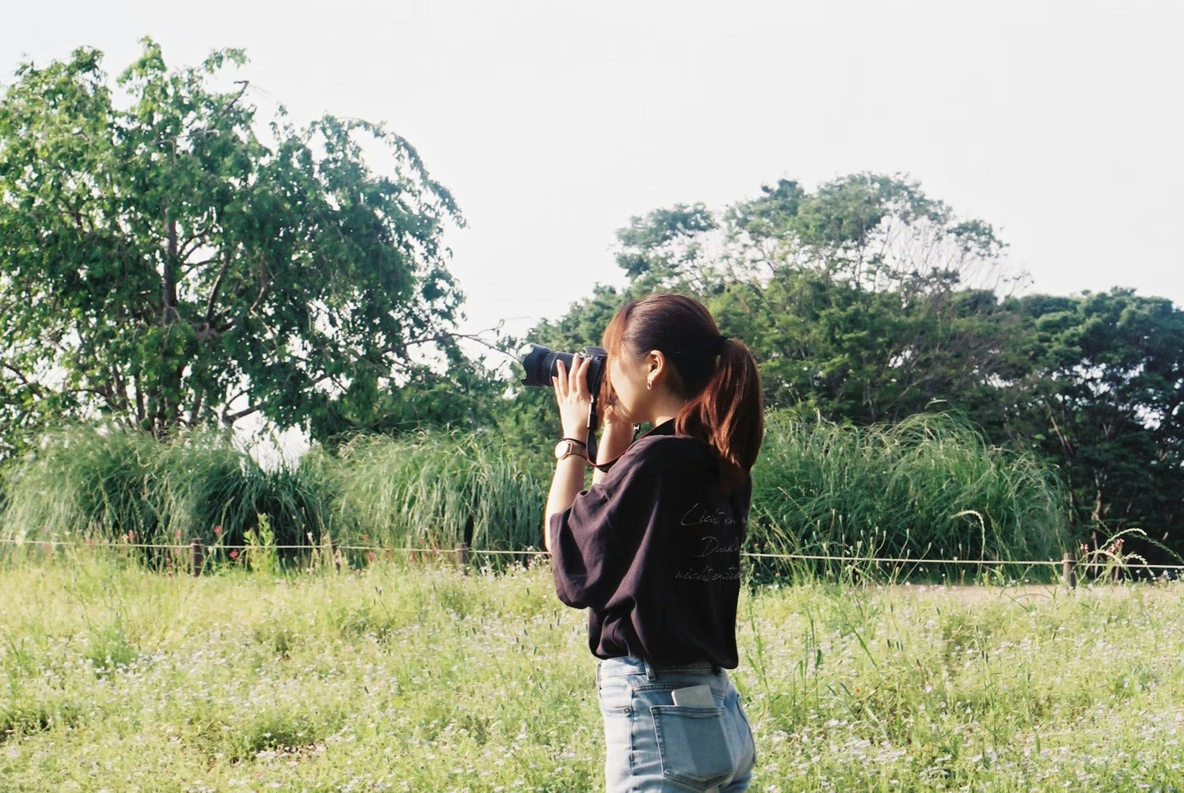 Donna con una macchina fotografica che cattura la natura in un campo erboso