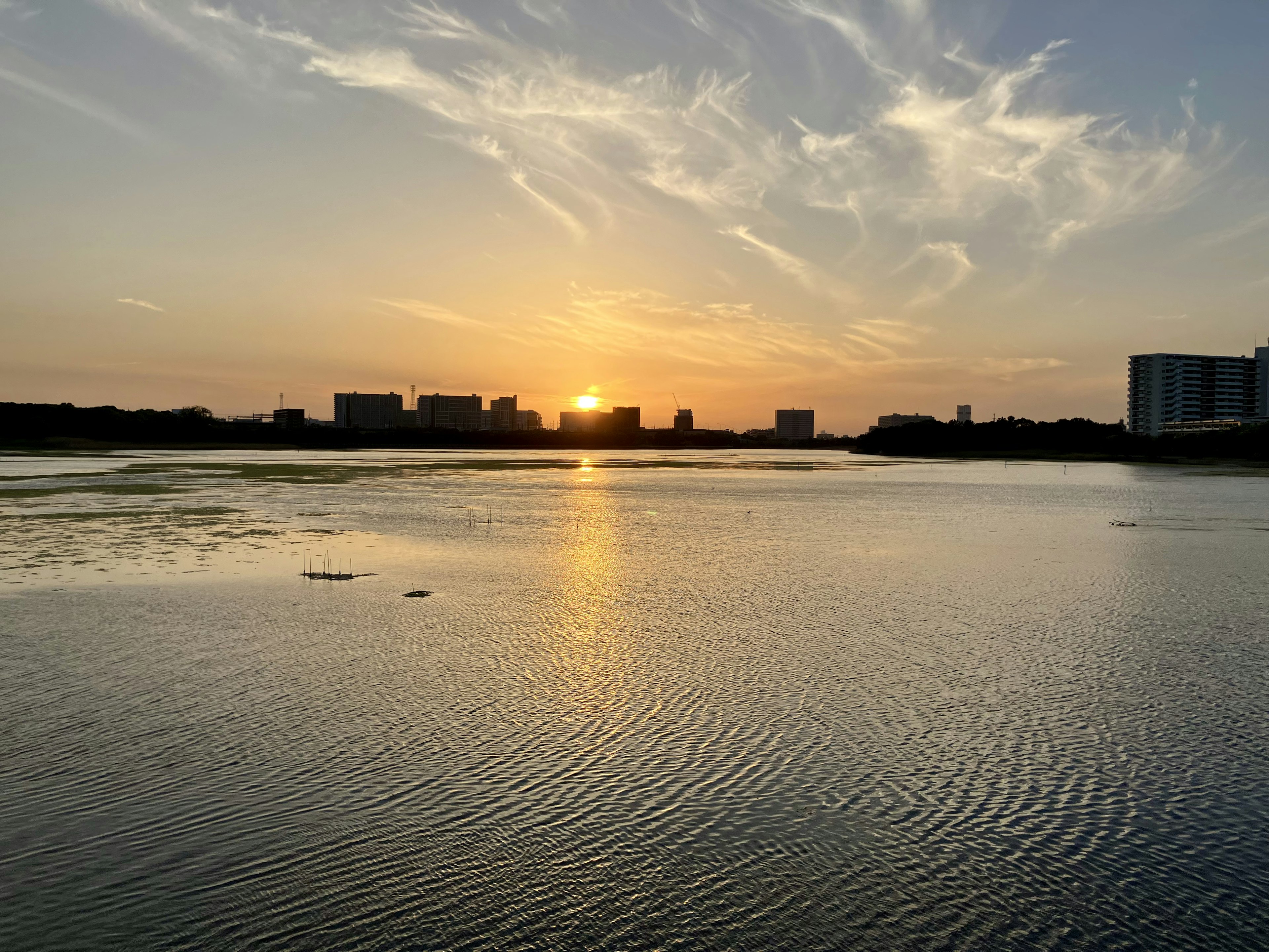 夕日が水面に反射する風景 高層ビルが並ぶ川沿いの景色