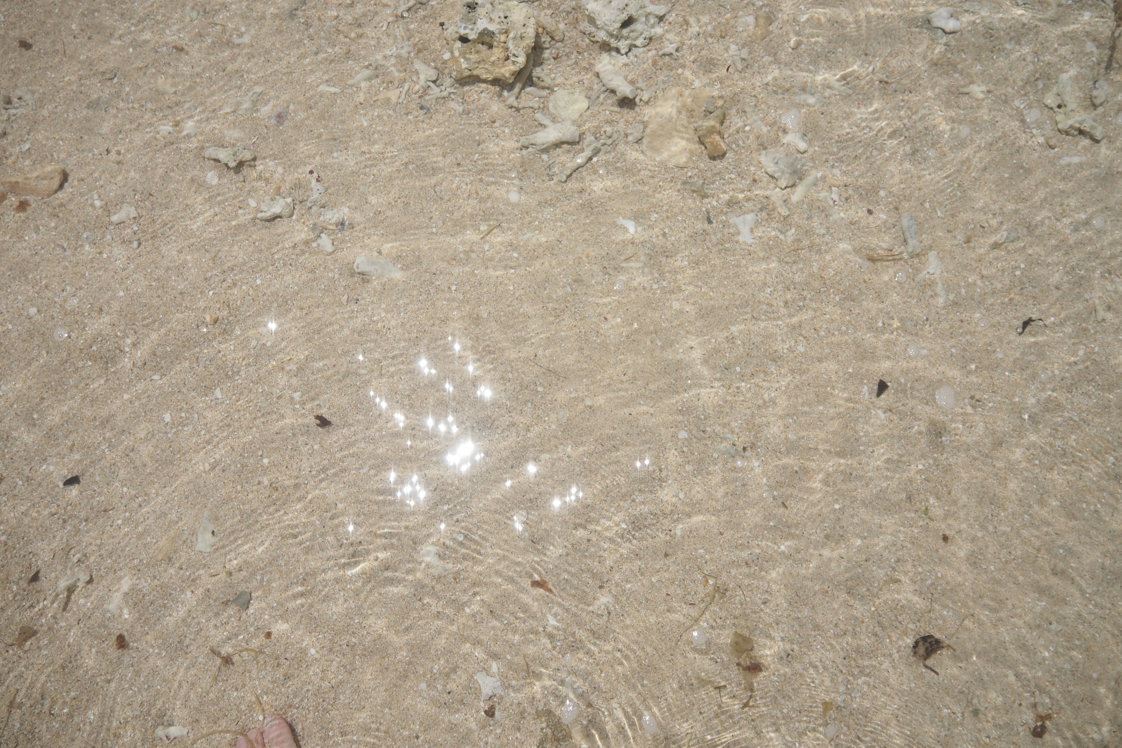 Foto di una spiaggia sabbiosa con superficie d'acqua scintillante