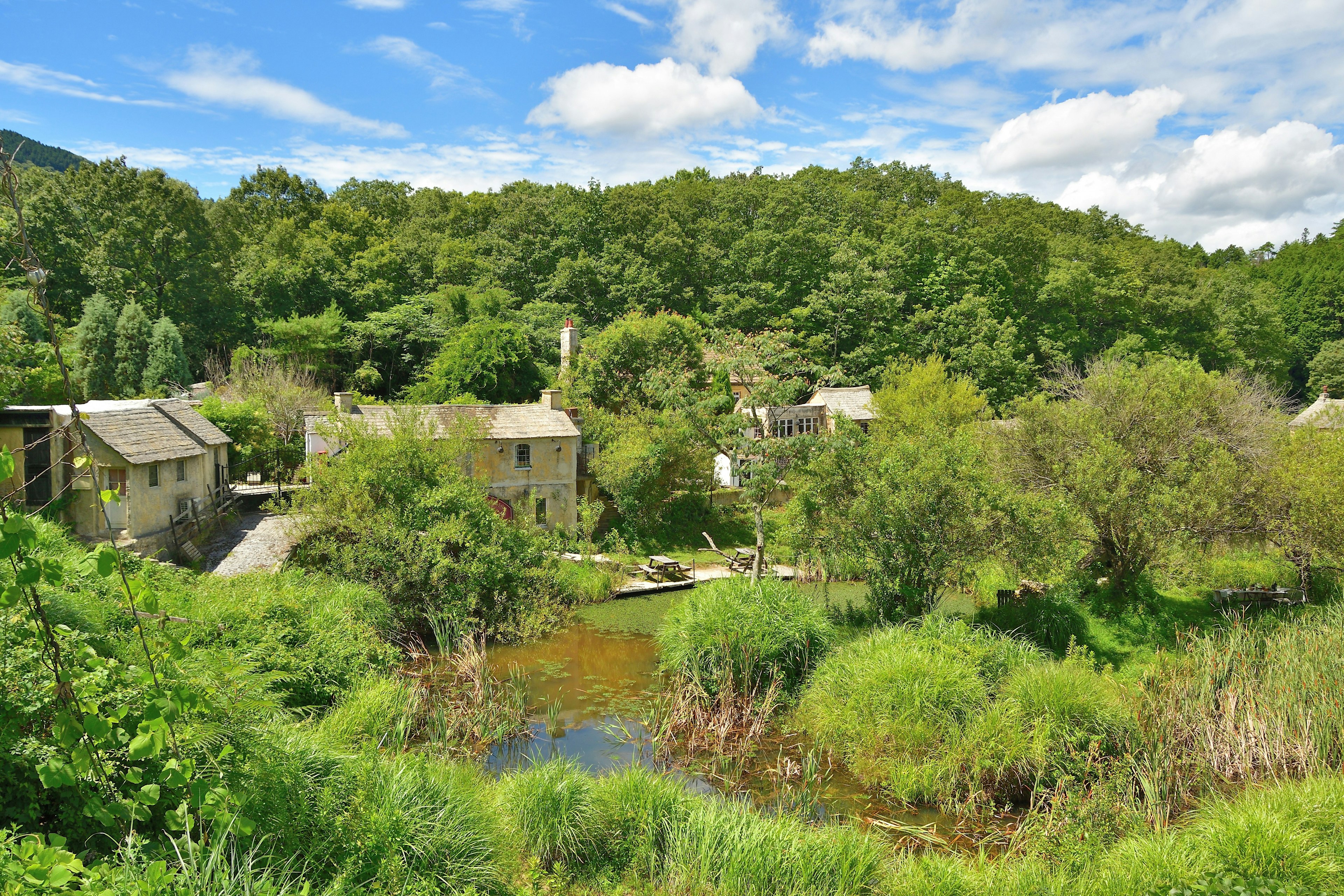 Vue pittoresque d'un petit village entouré de verdure luxuriante et d'un étang