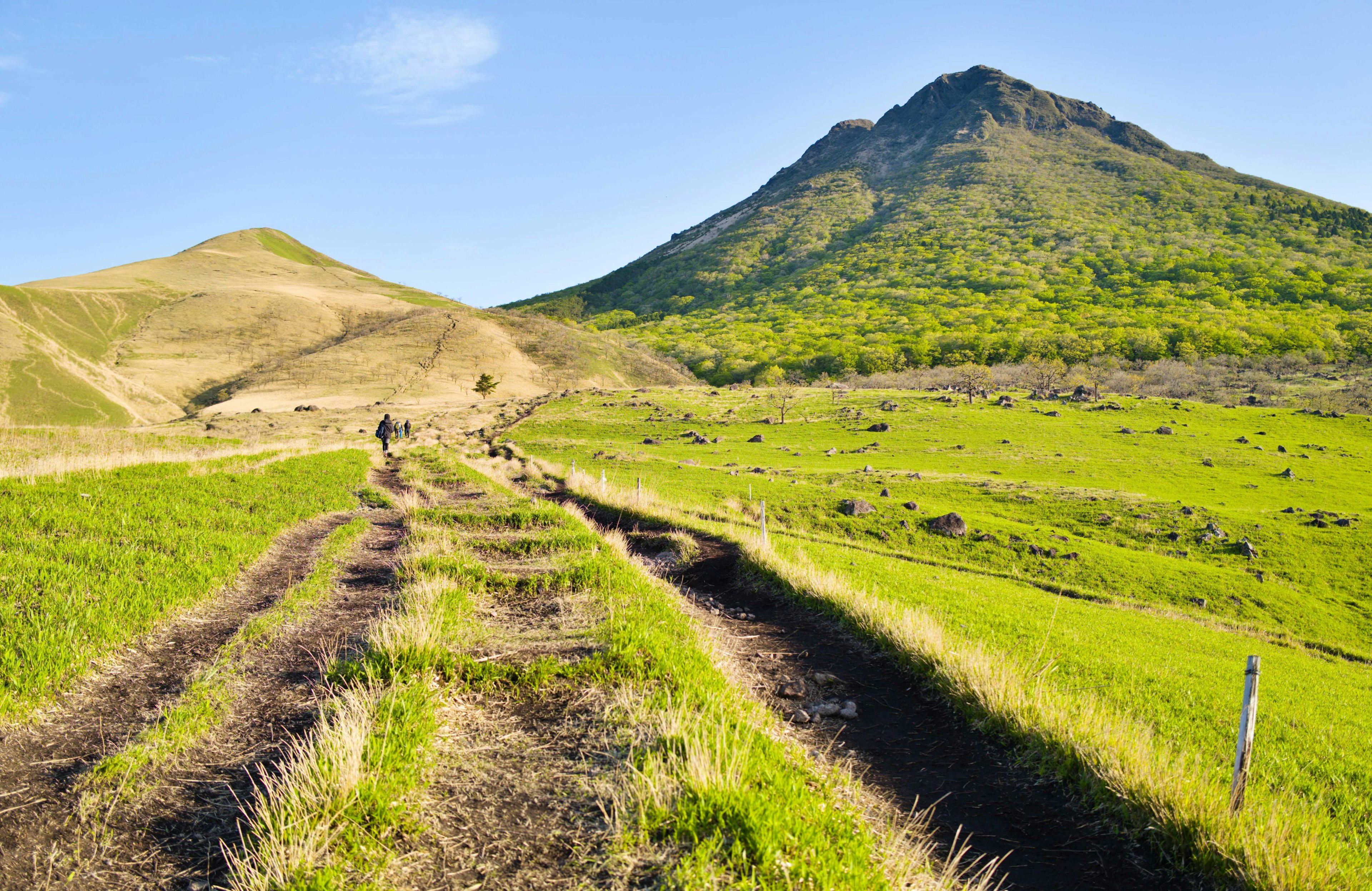 Jalan gunung dikelilingi ladang hijau dan bukit