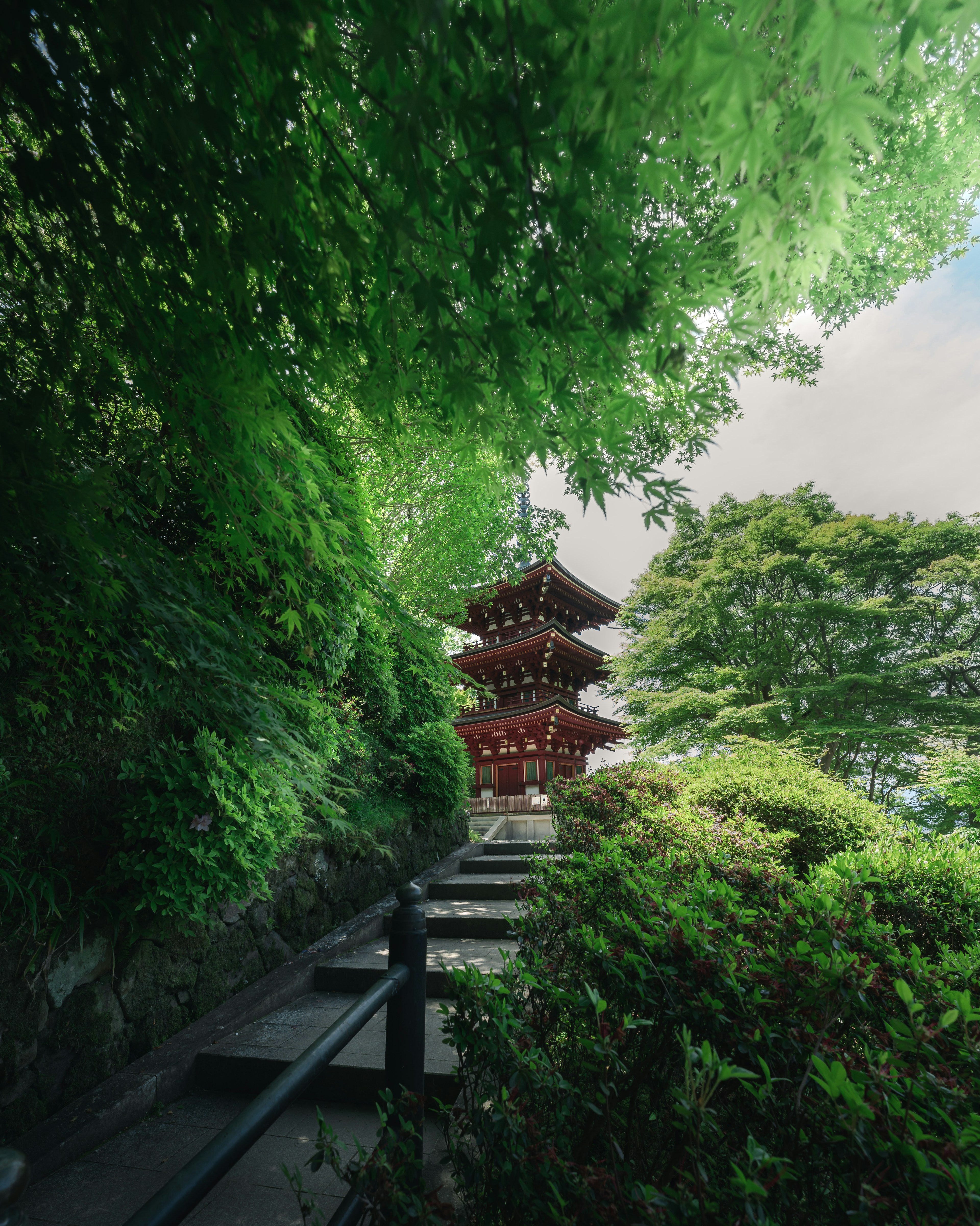 Vue panoramique d'une pagode entourée de verdure luxuriante