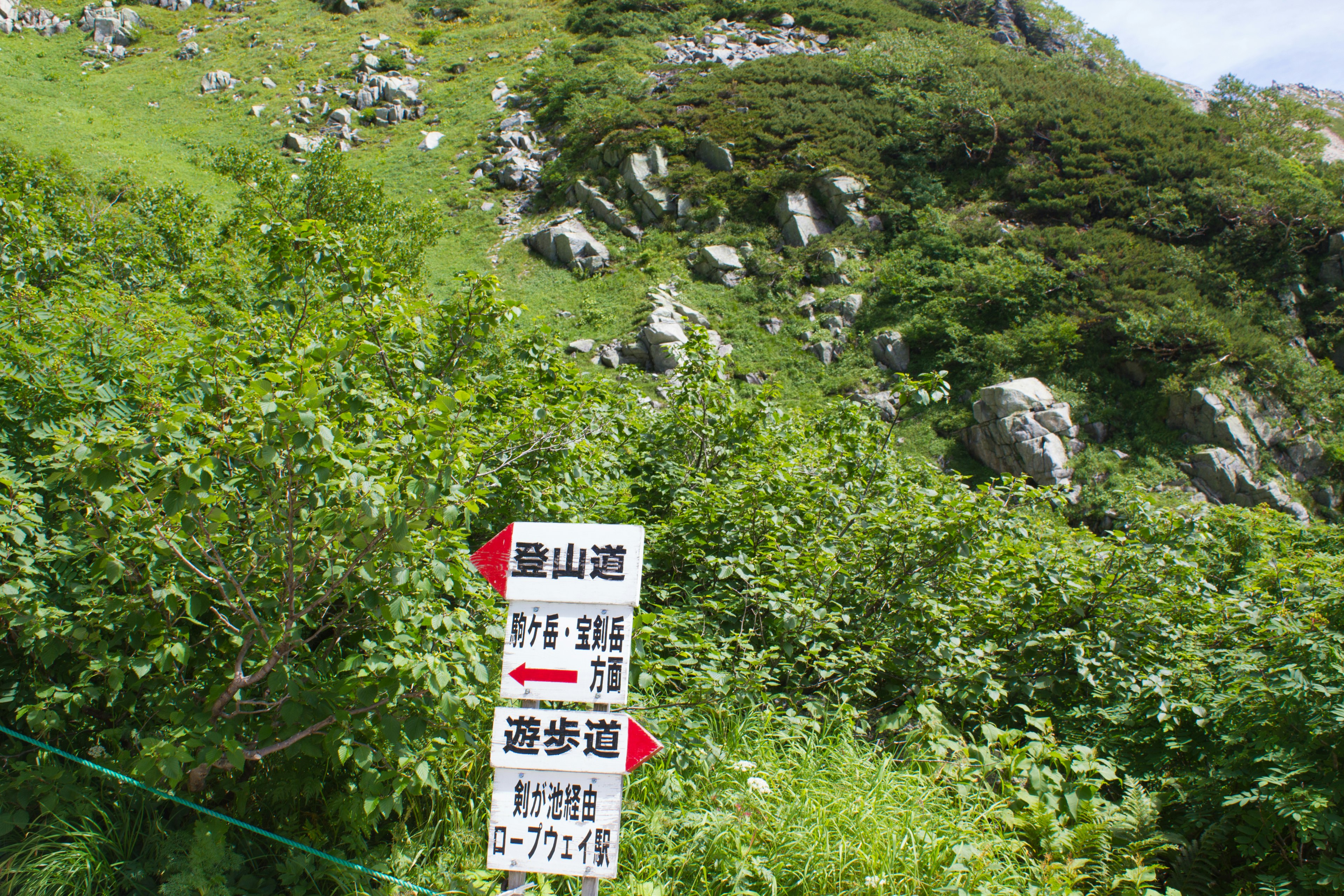 Trail sign indicating hiking paths with lush green mountain scenery