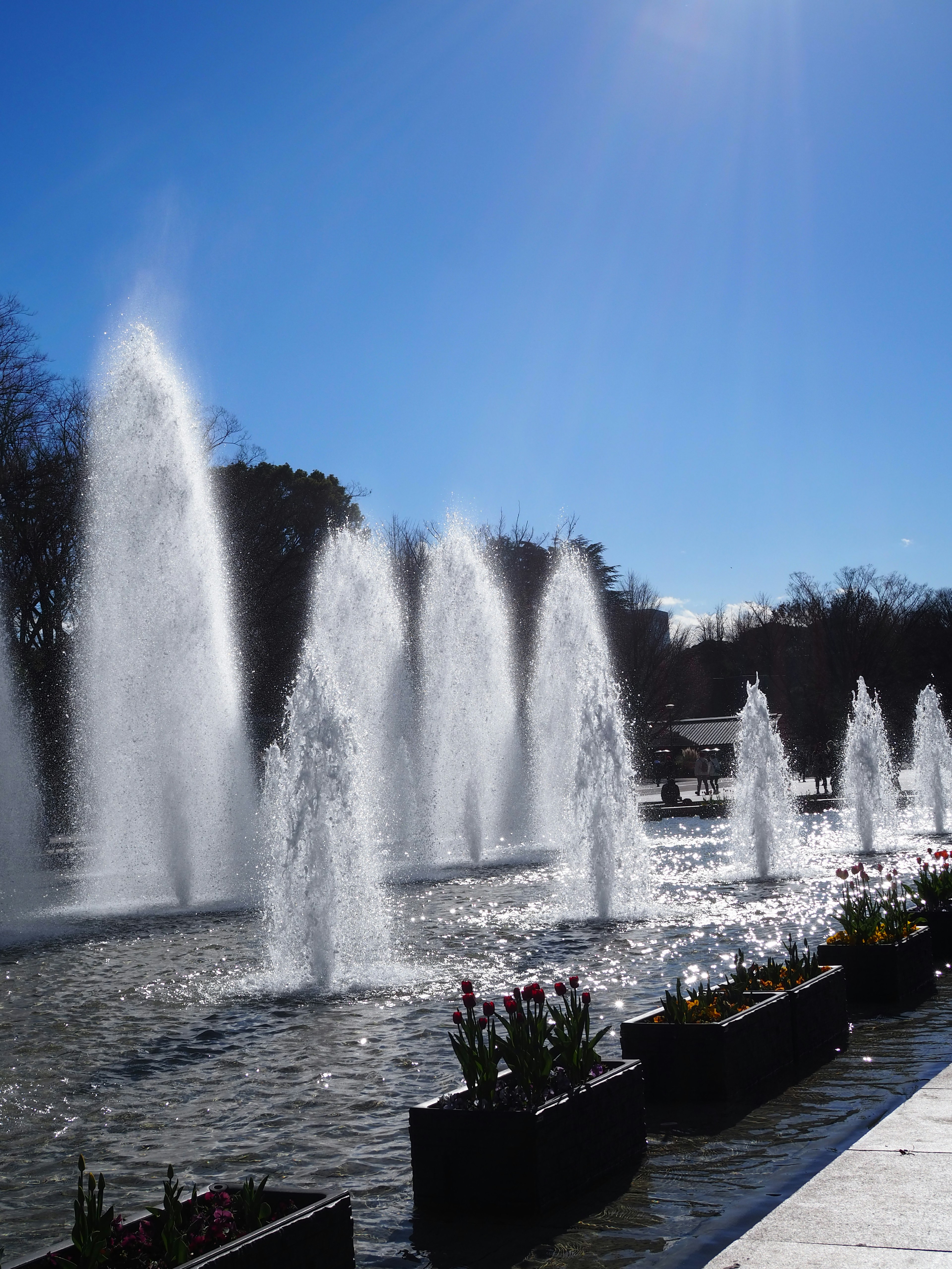 Mostra di fontane con fiori in fiore sotto un cielo blu chiaro