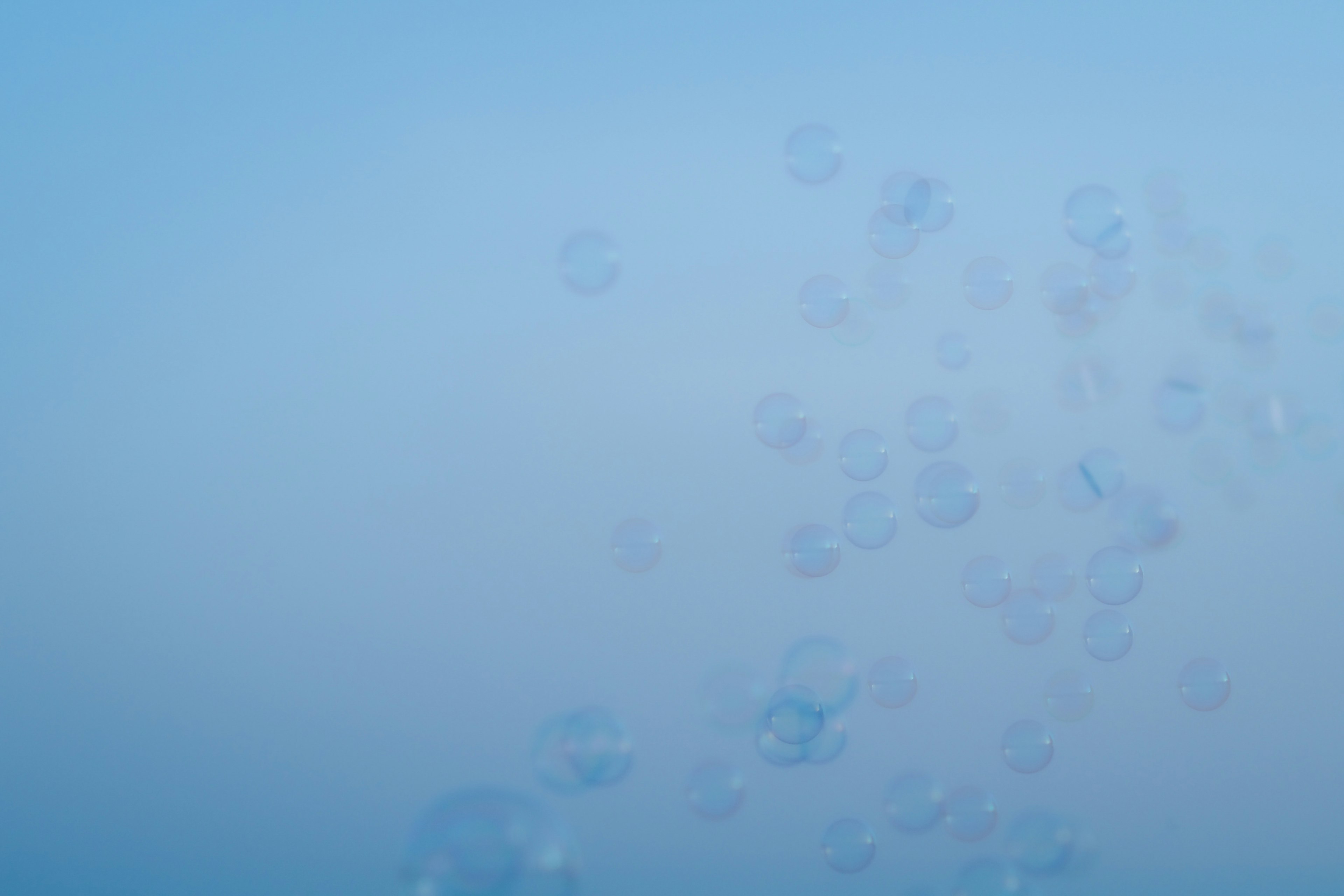 Cluster of transparent bubbles against a blue background