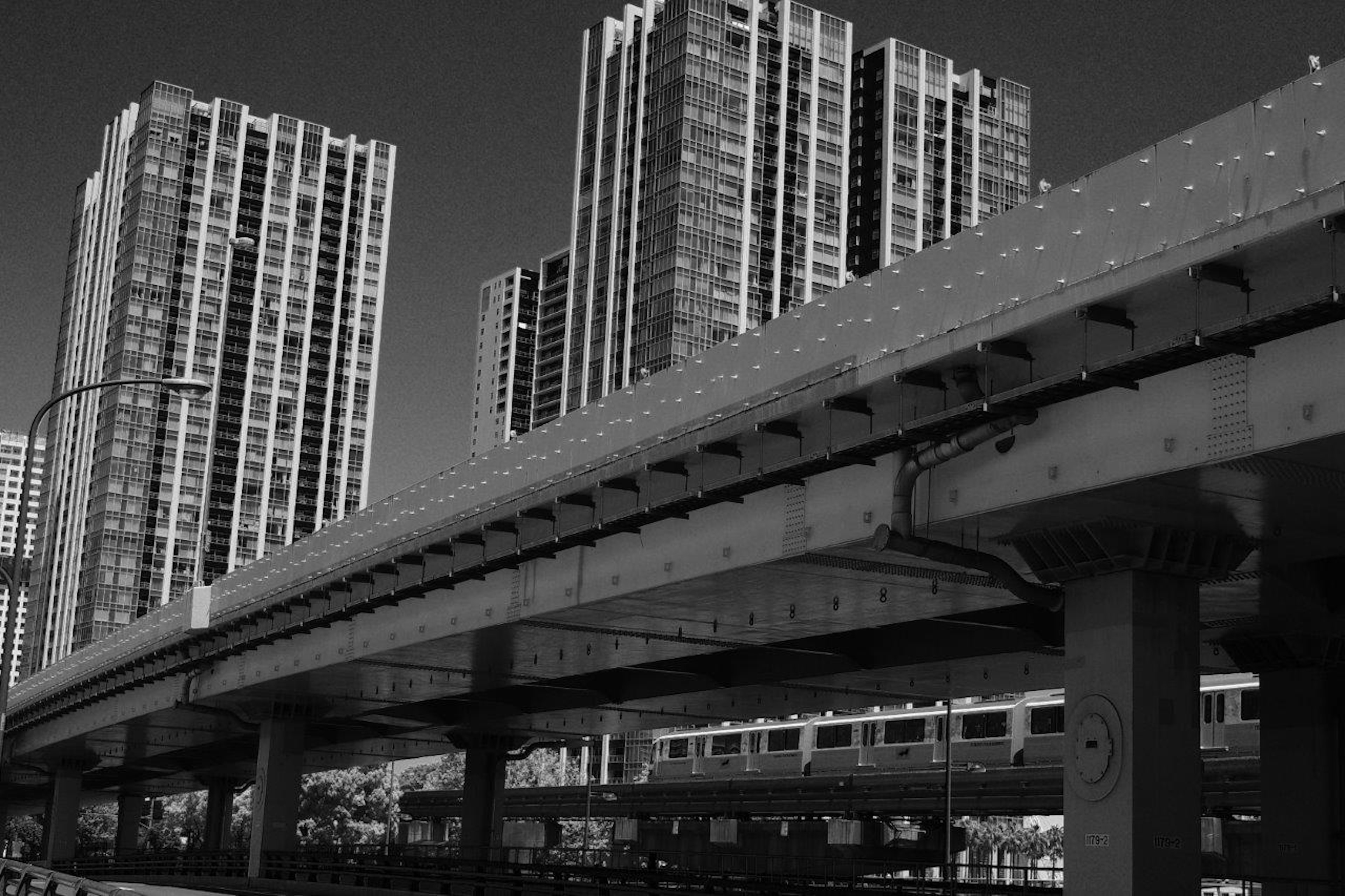 Imagen en blanco y negro de rascacielos y carretera elevada