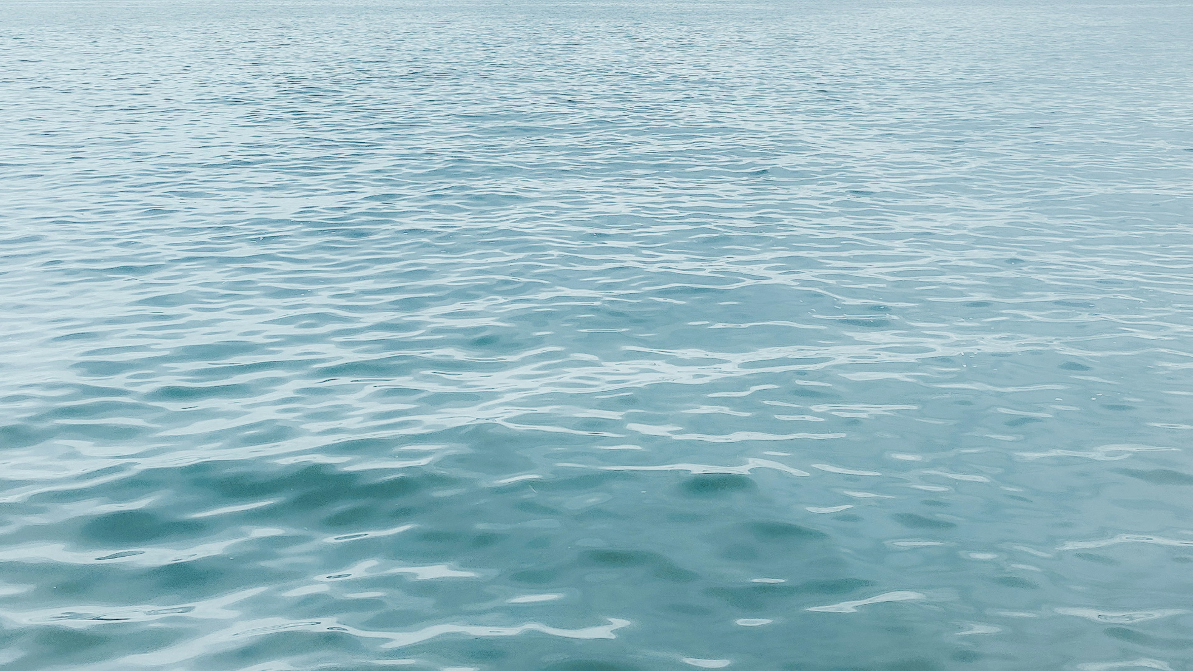 calm blue sea surface with gentle ripples