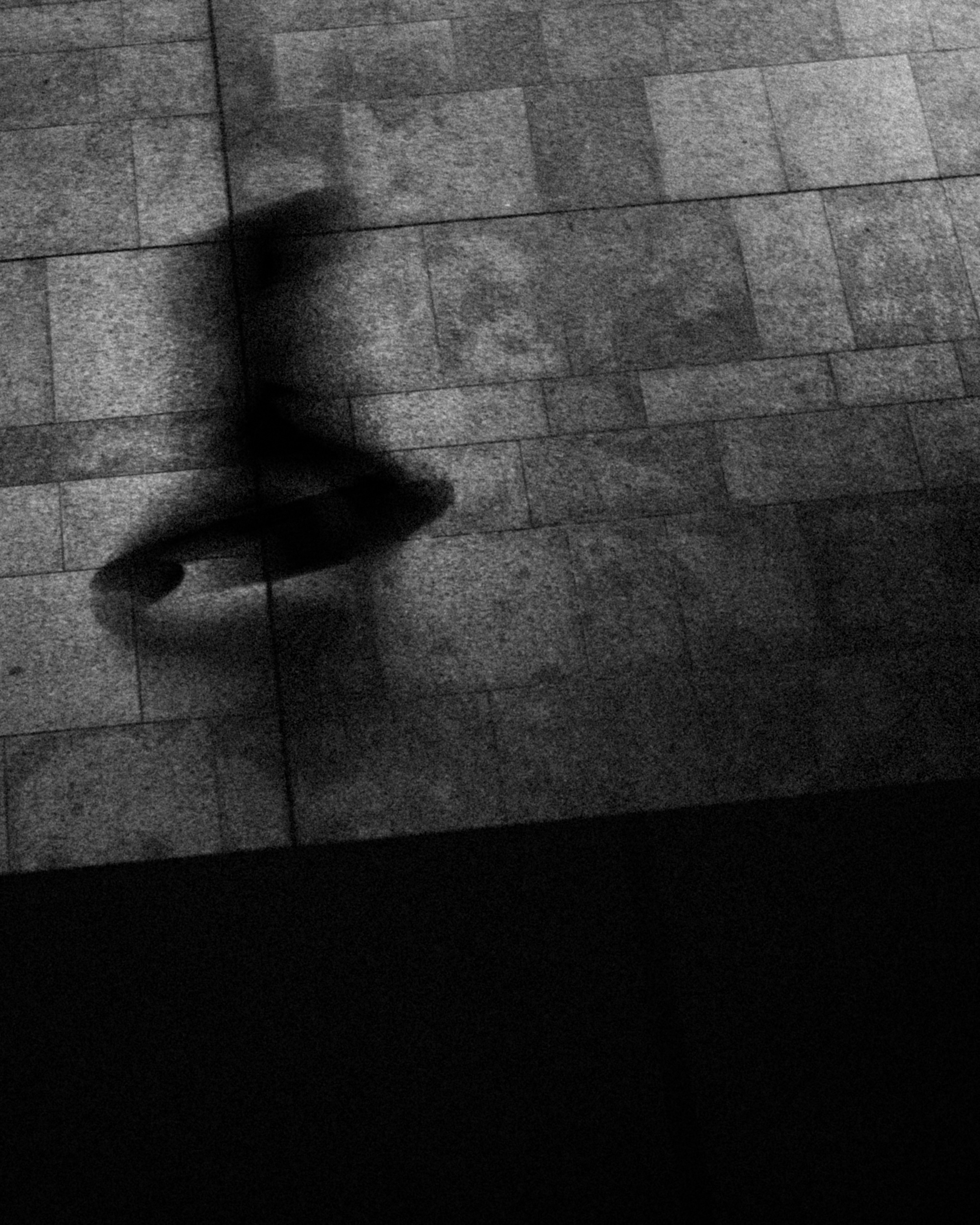 L'ombra di una persona in movimento che cammina su un pavimento in pietra in bianco e nero