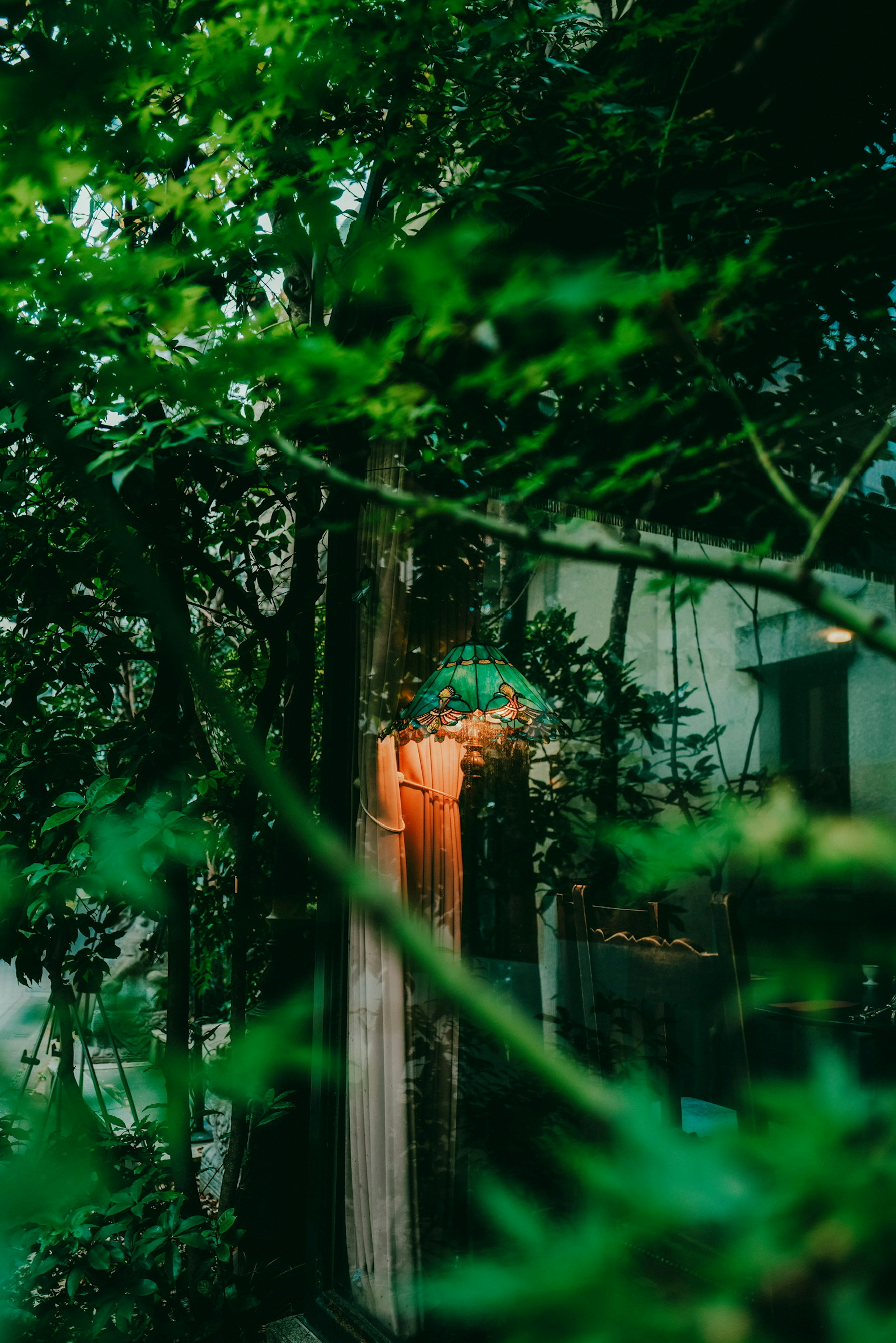 Imagen que muestra el resplandor de una lámpara rodeada de follaje verde cerca de una ventana