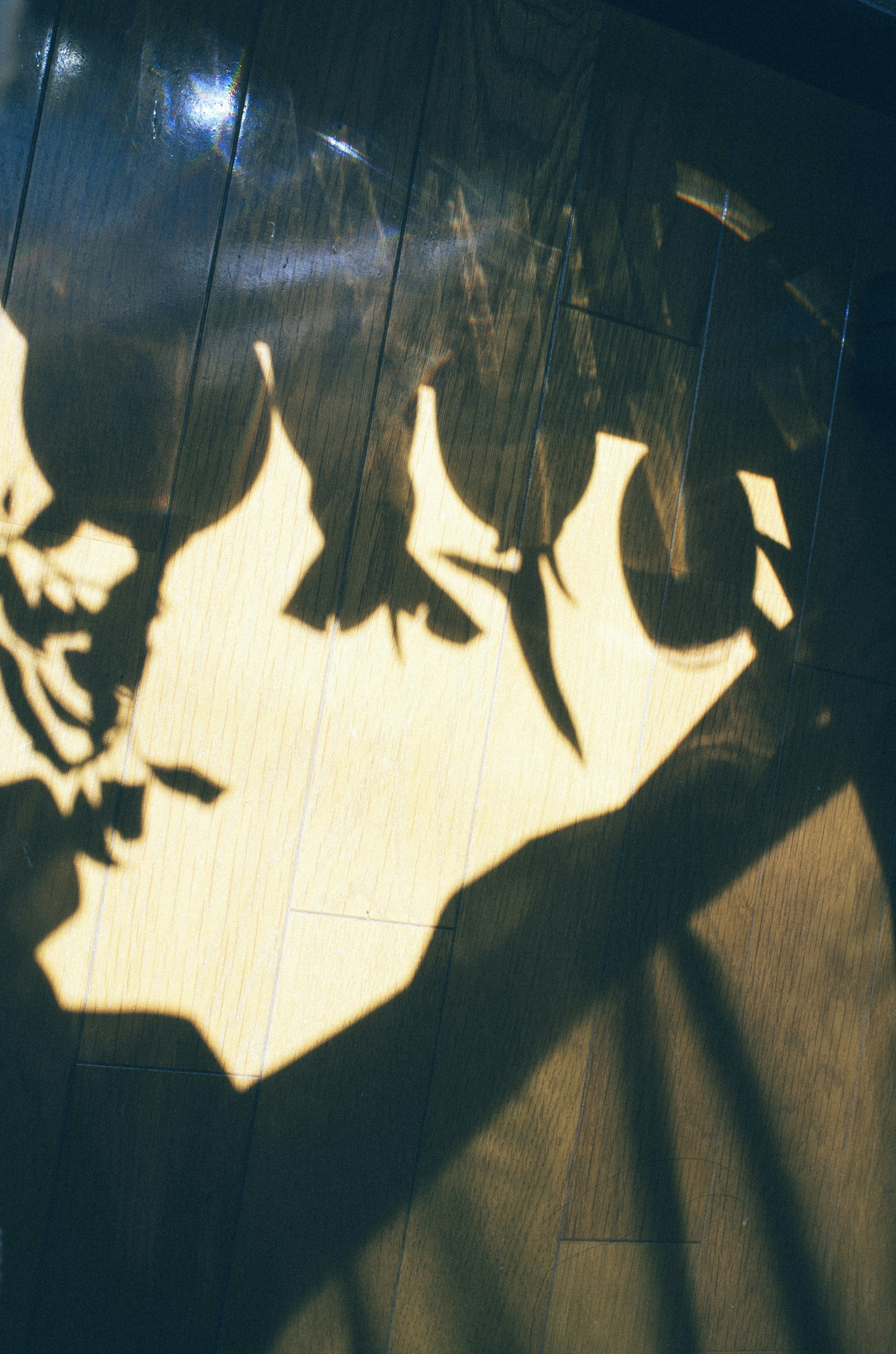 Silhouette of a person cast as a shadow on wooden flooring