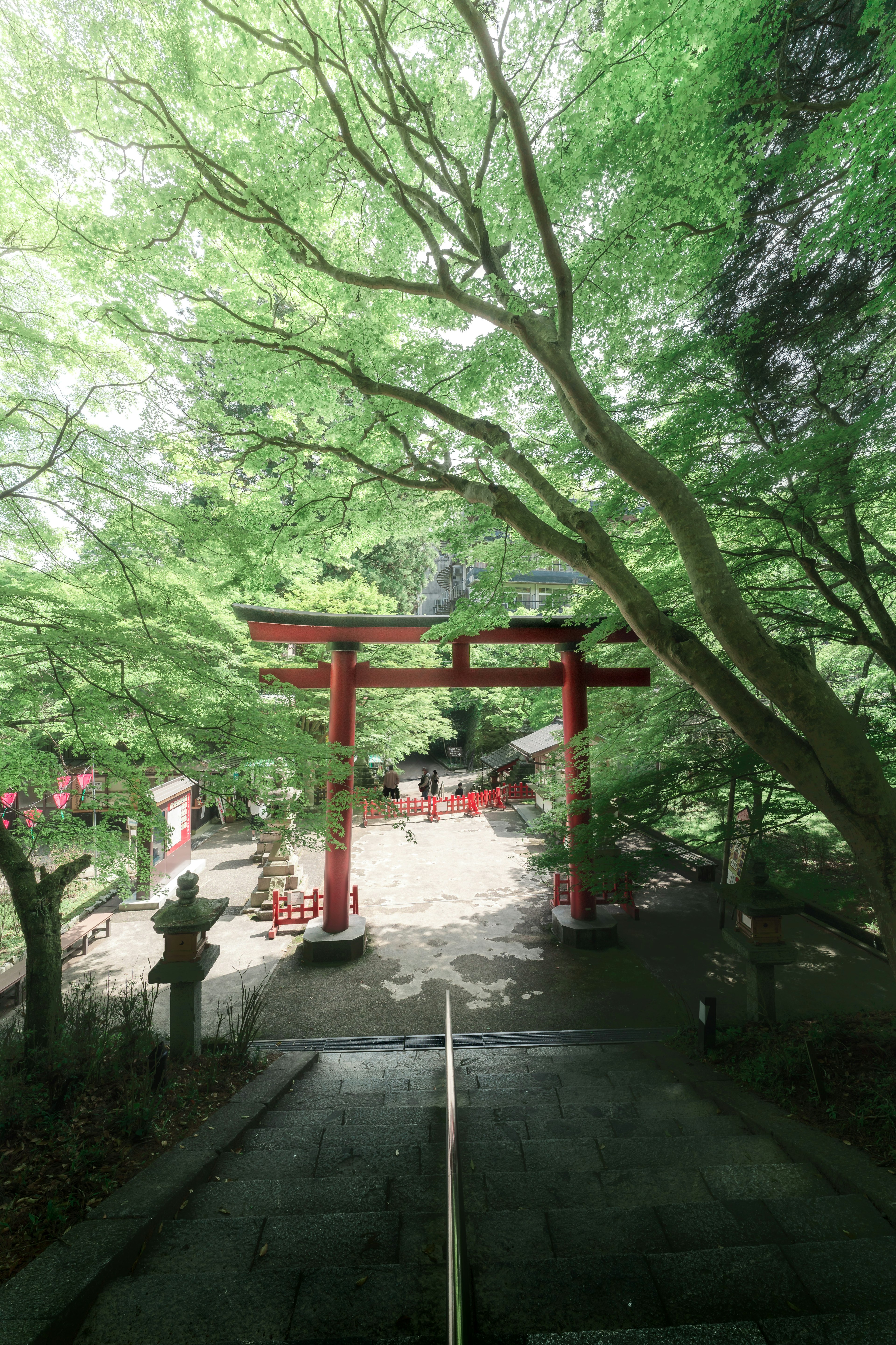 Vista panoramica di un portale torii rosso circondato da alberi verdi lussureggianti