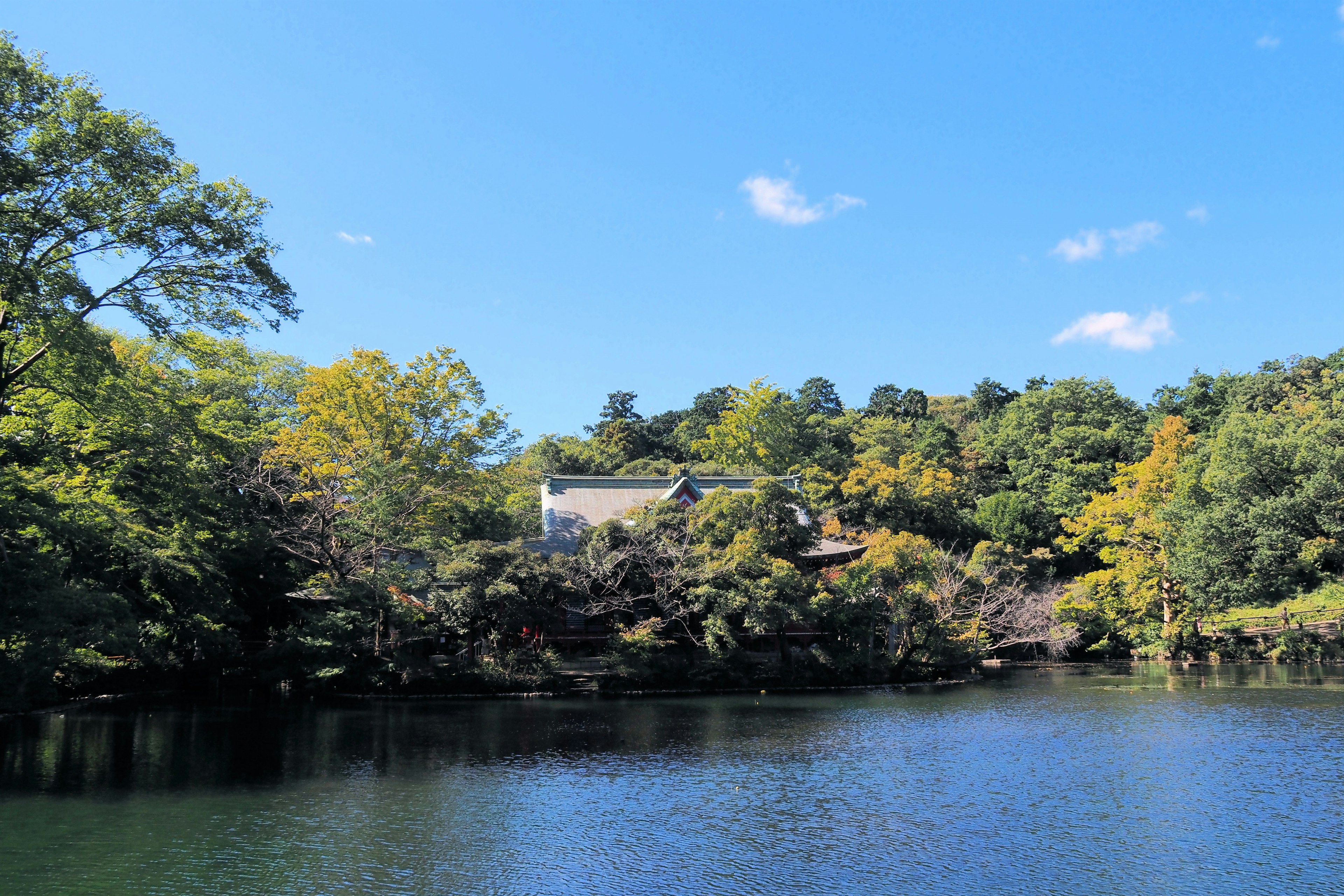 Vista escénica de una casa rodeada de un lago y vegetación bajo un cielo azul