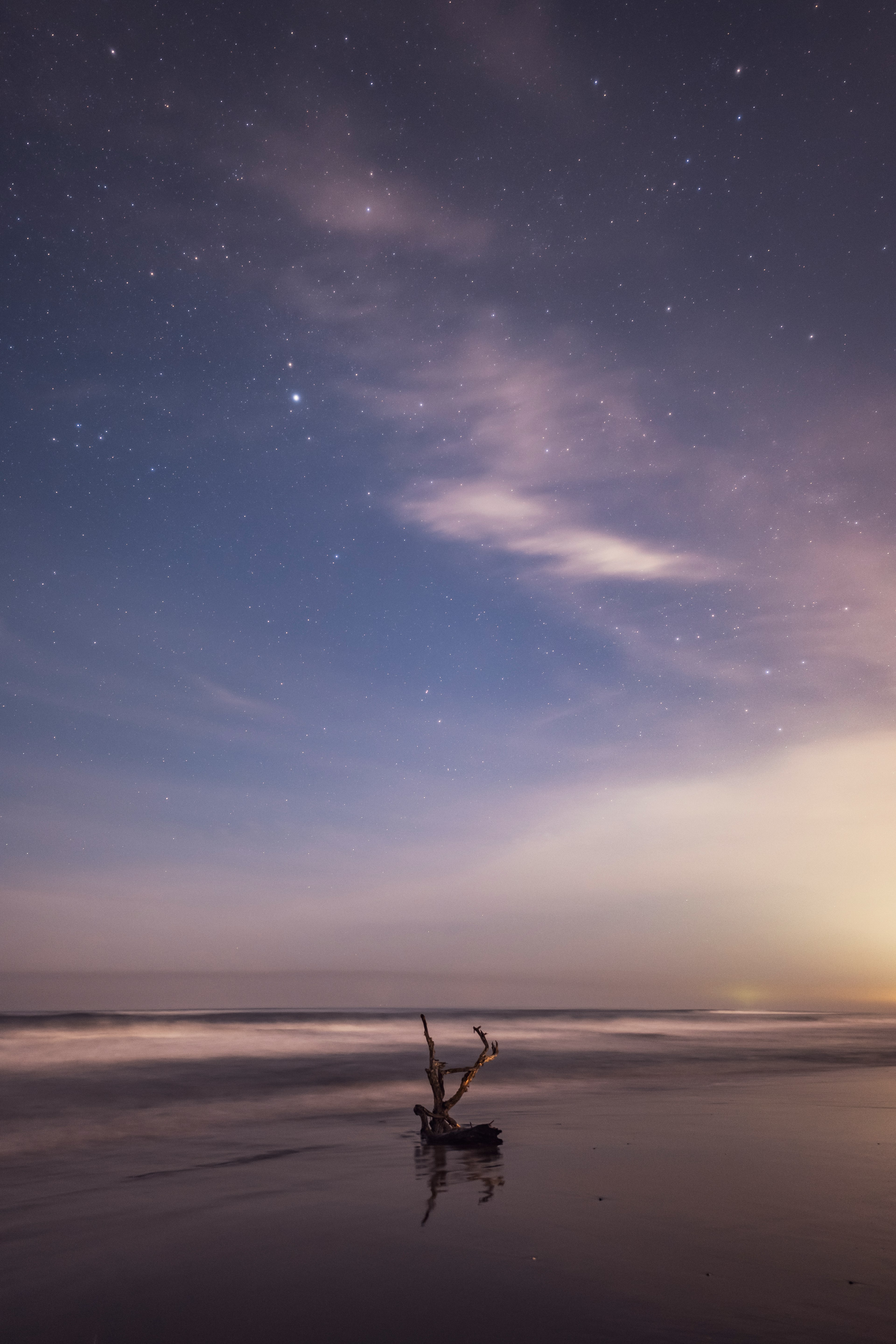 海岸場景星空下的漂流木輪廓在低潮時