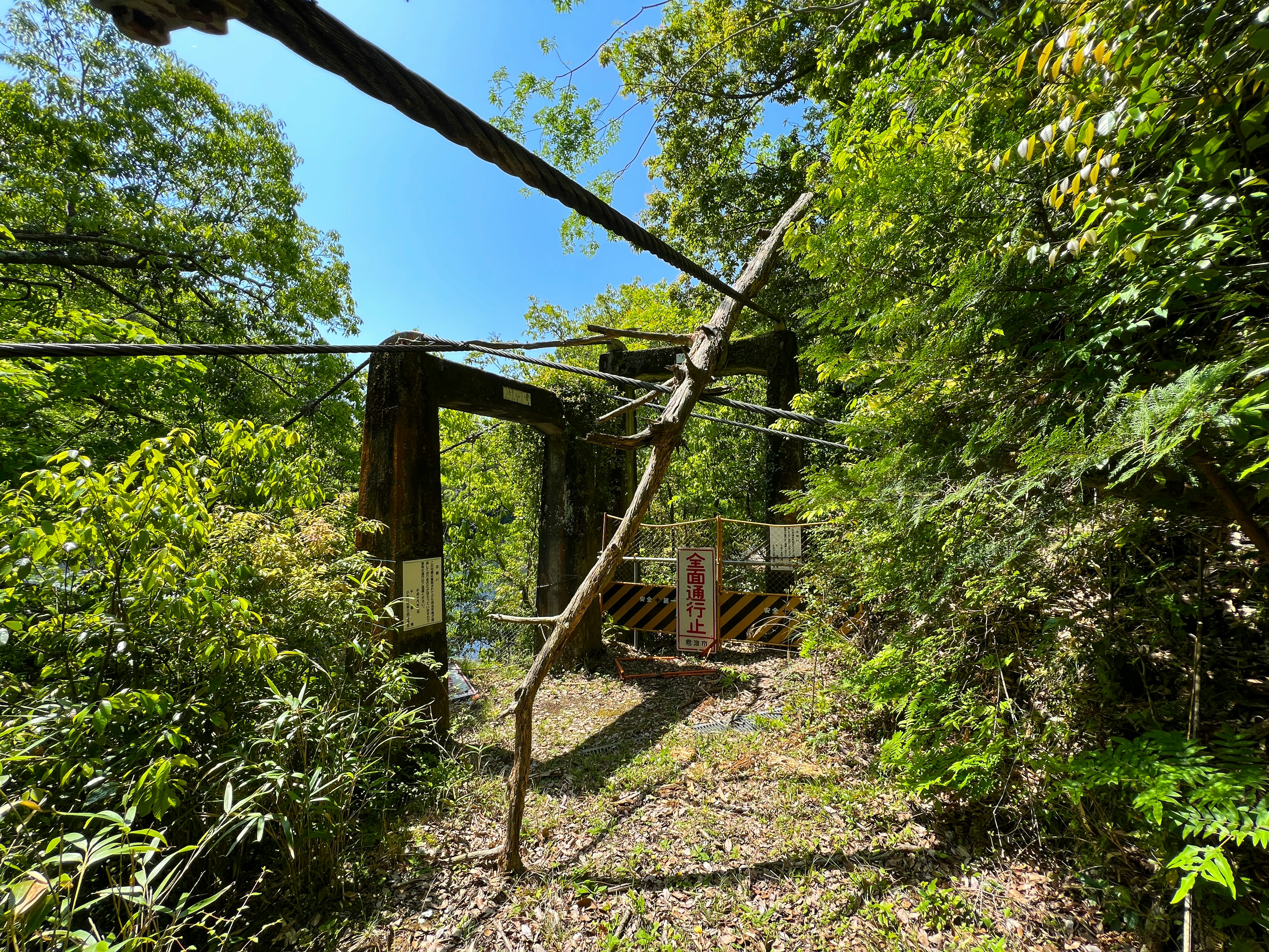 Alter Kabelbahnpfeiler und Drähte umgeben von üppigem grünem Wald