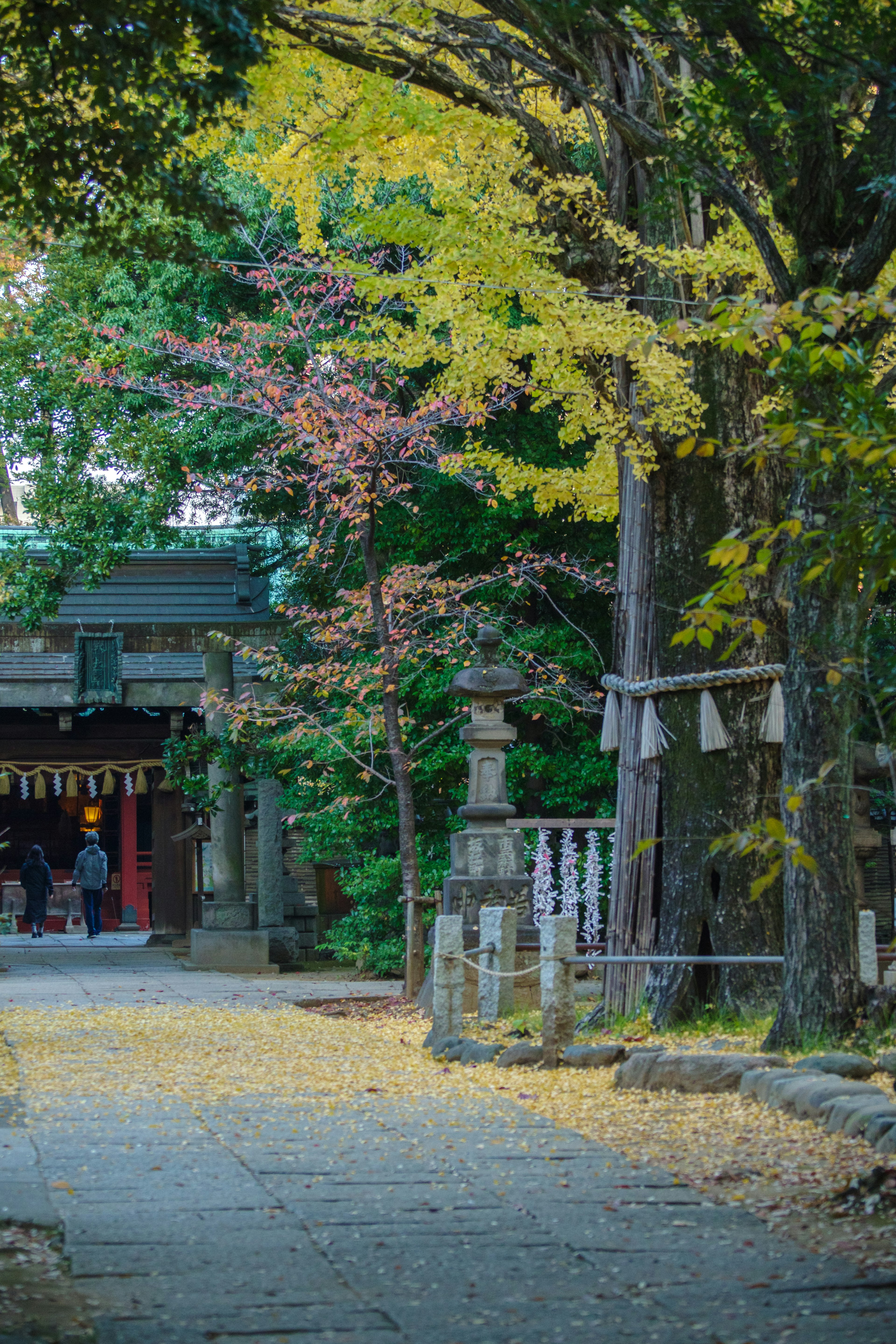 風景如畫的神社小徑裝飾著五彩斑斕的秋葉