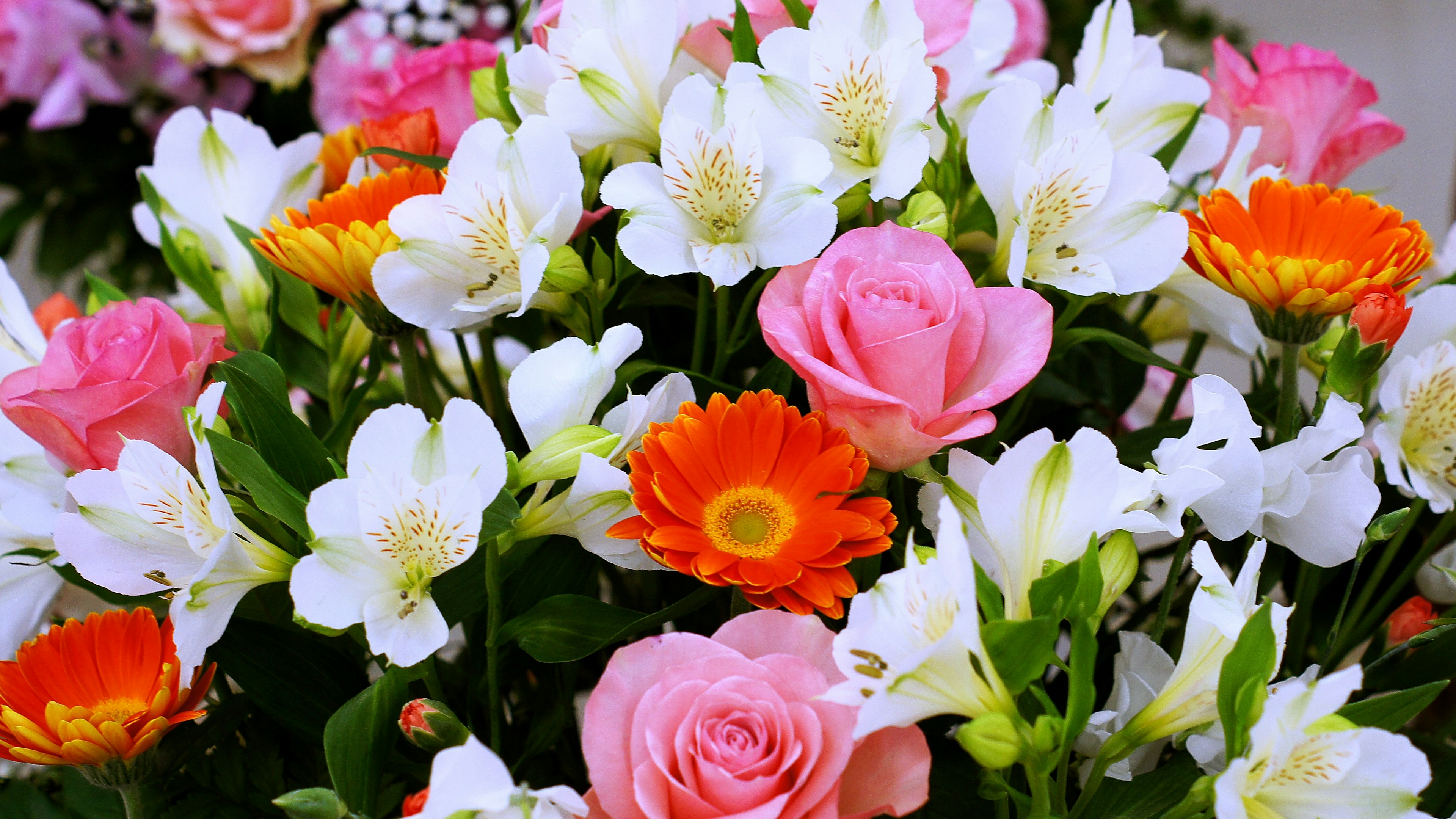 Close-up of a colorful bouquet featuring pink roses orange flowers and white blossoms