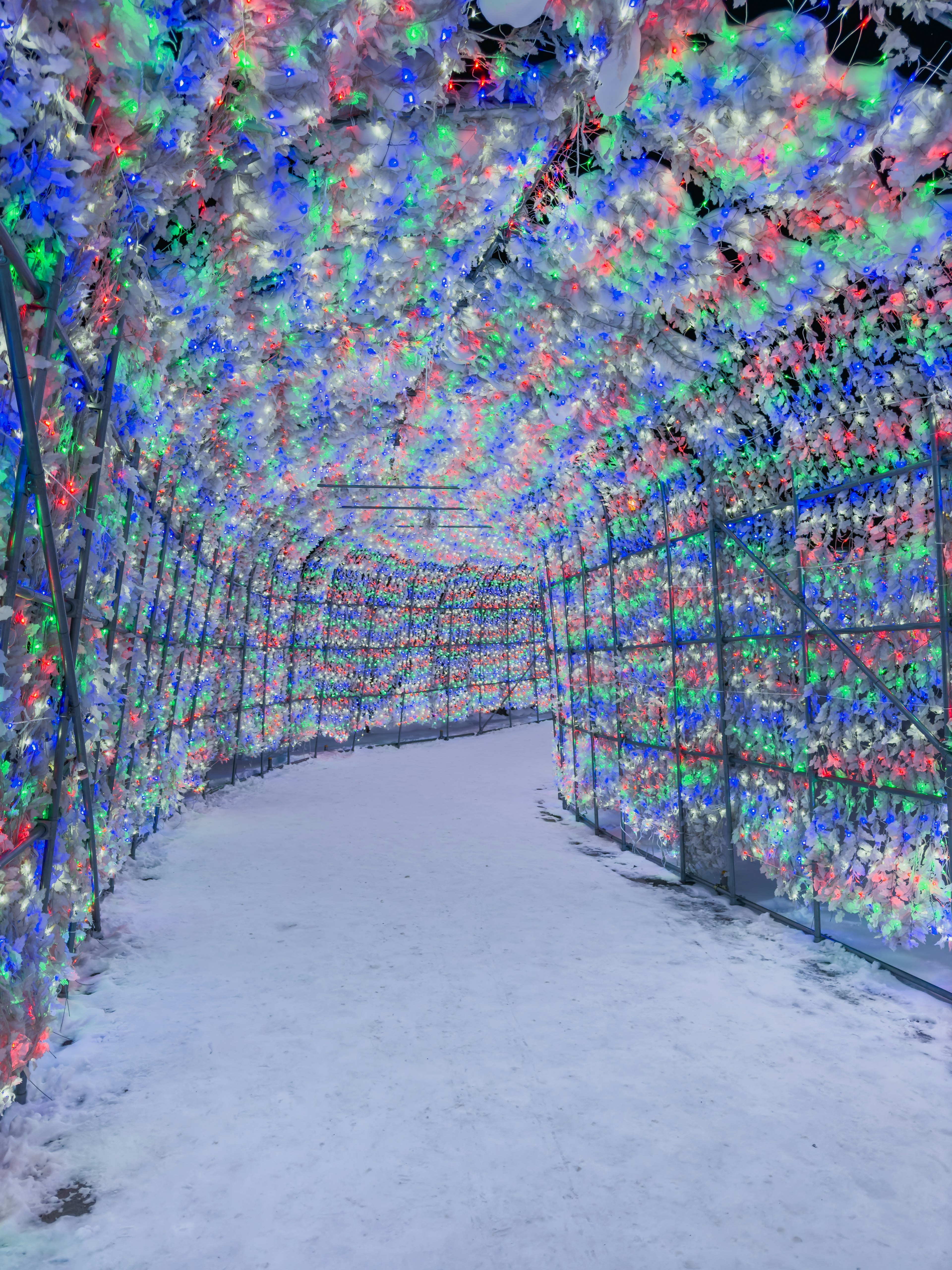 Pathway through a snow-covered tunnel adorned with colorful lights