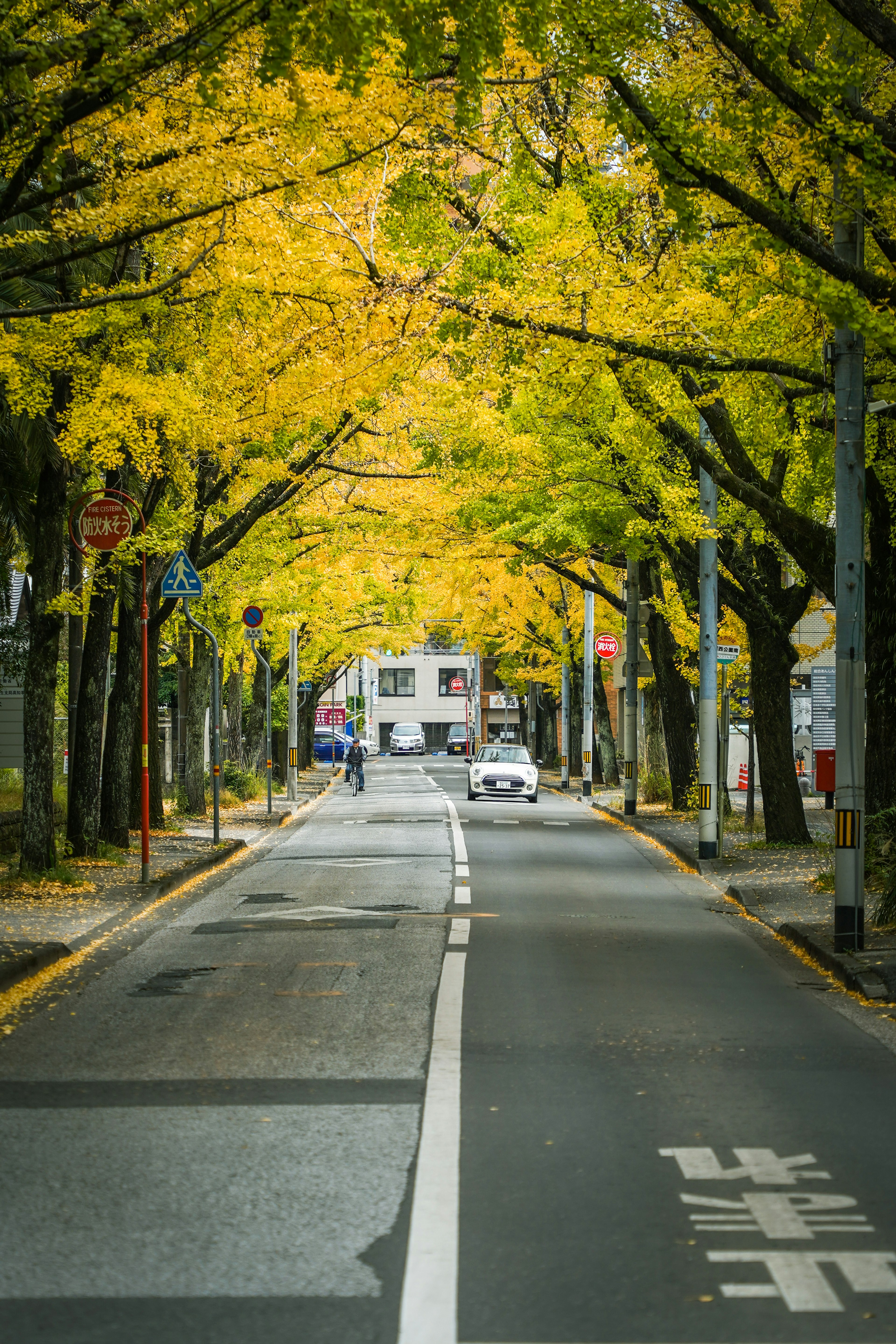 Une vue pittoresque d'une rue bordée d'arbres avec des feuilles jaunes vibrantes