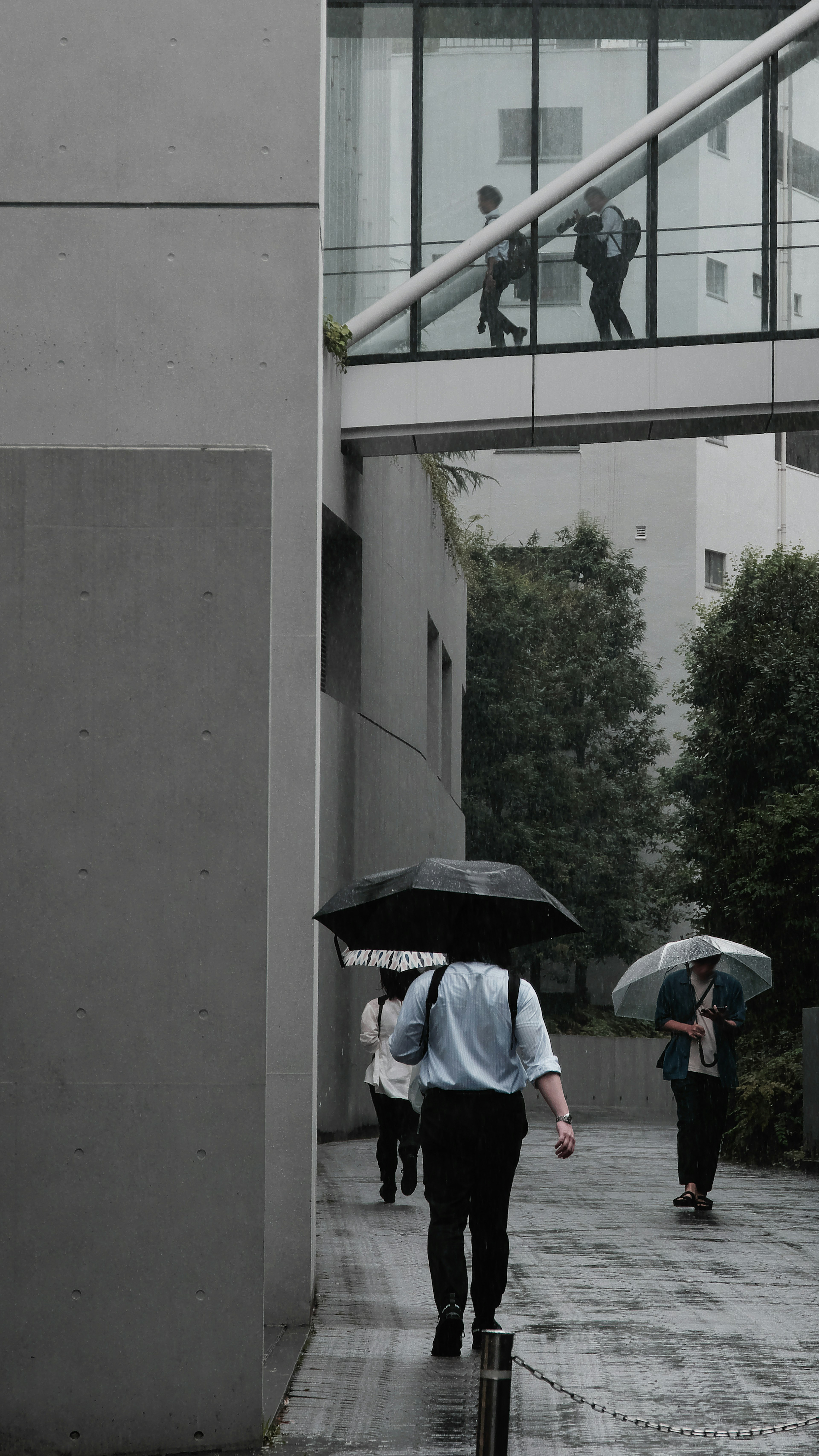 Urban scene with people walking under umbrellas and a glass bridge above