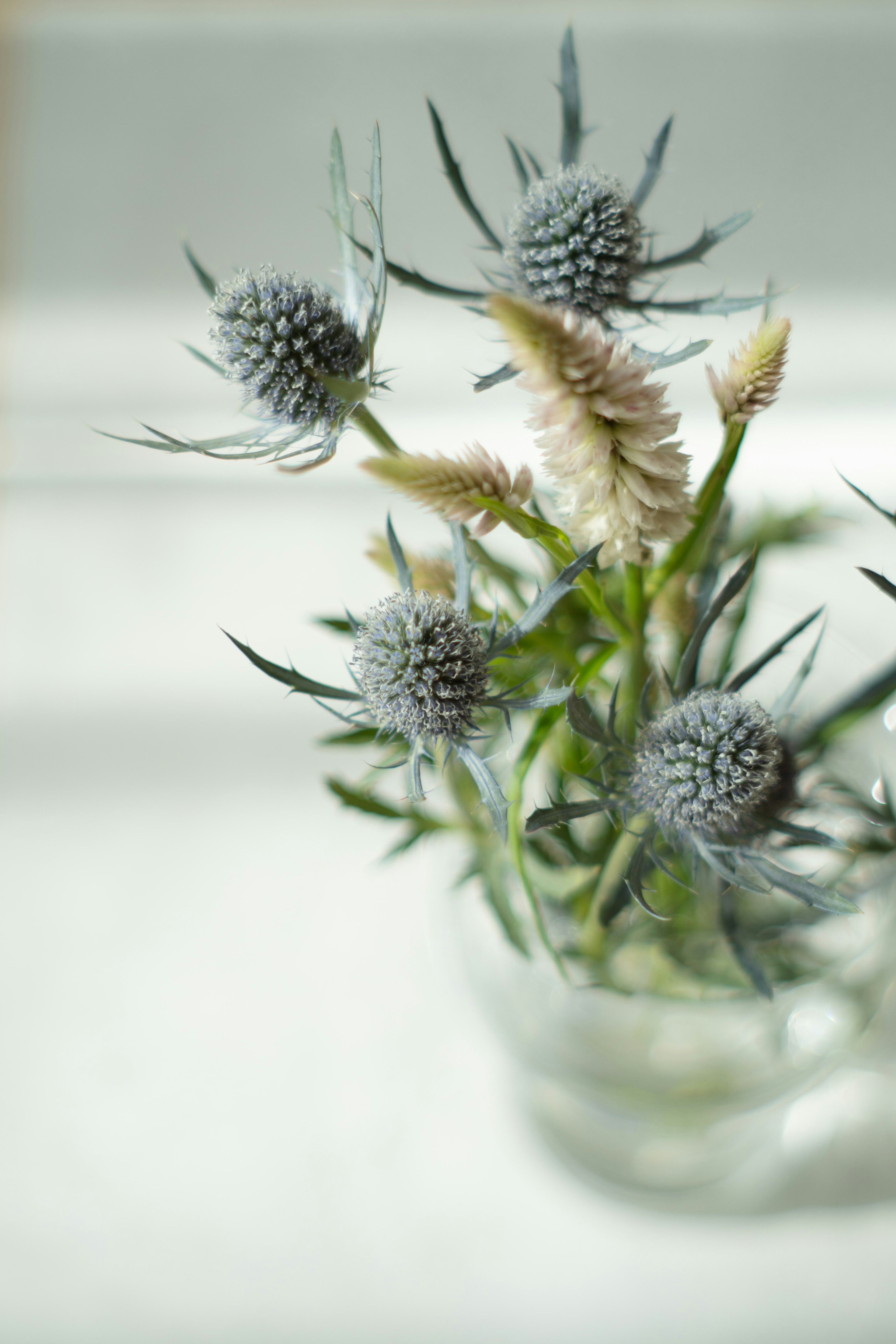 Anordnung von bläulichen Blumen und weißen Spitzen in einer Glasvase