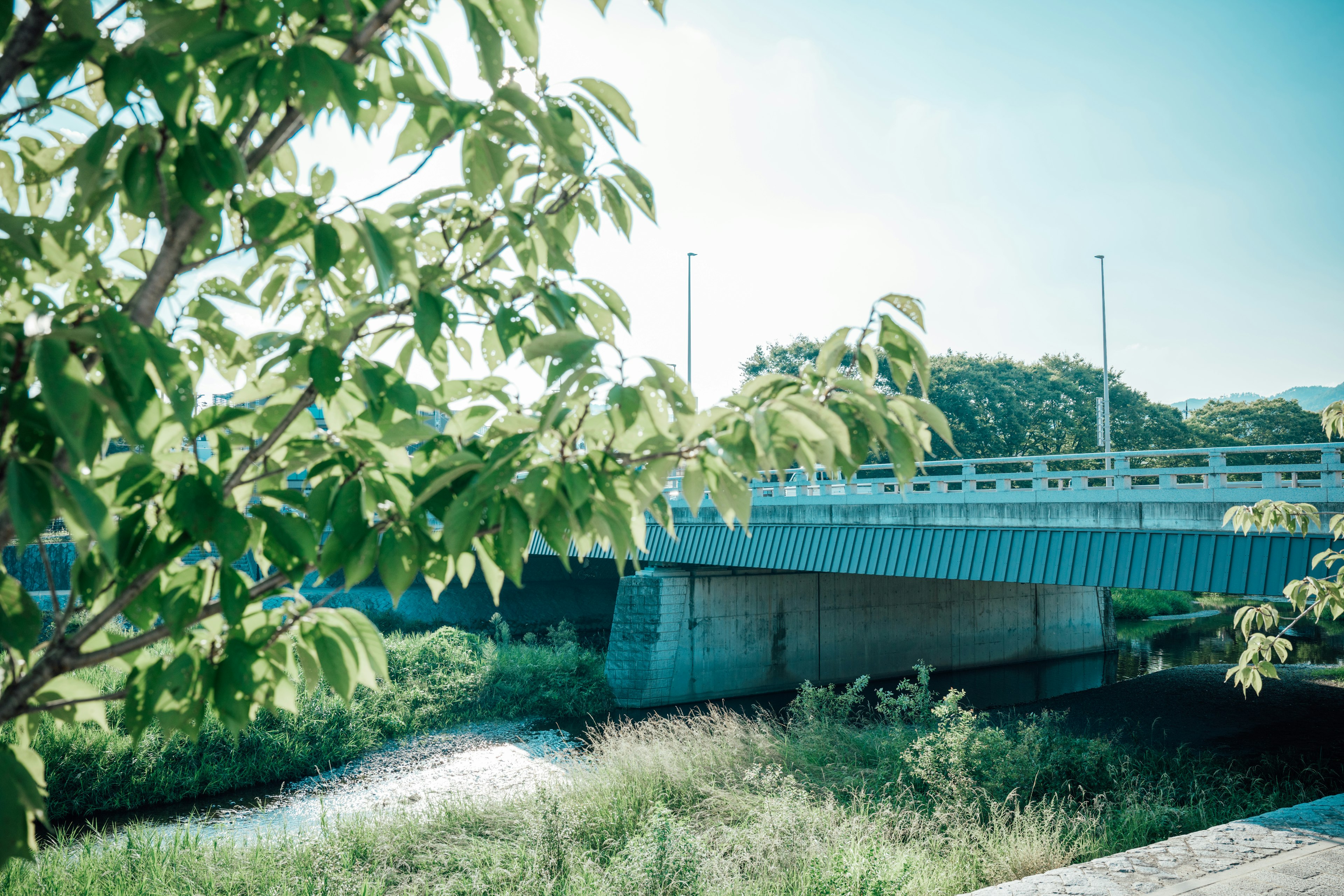 สะพานใต้ท้องฟ้าสีฟ้าพร้อมต้นไม้สีเขียวในพื้นหน้า