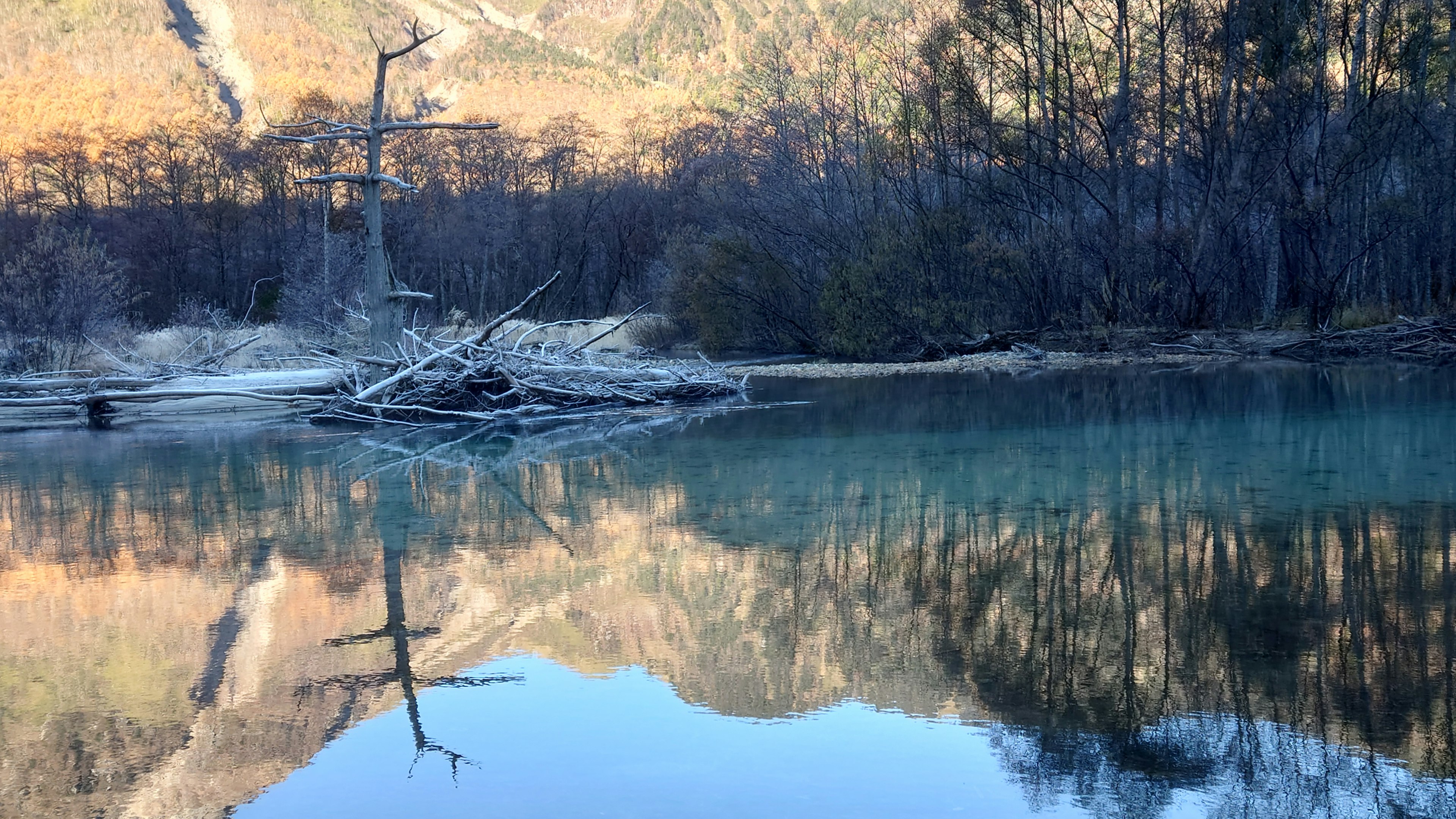 고요한 호수에 비친 산과 나무