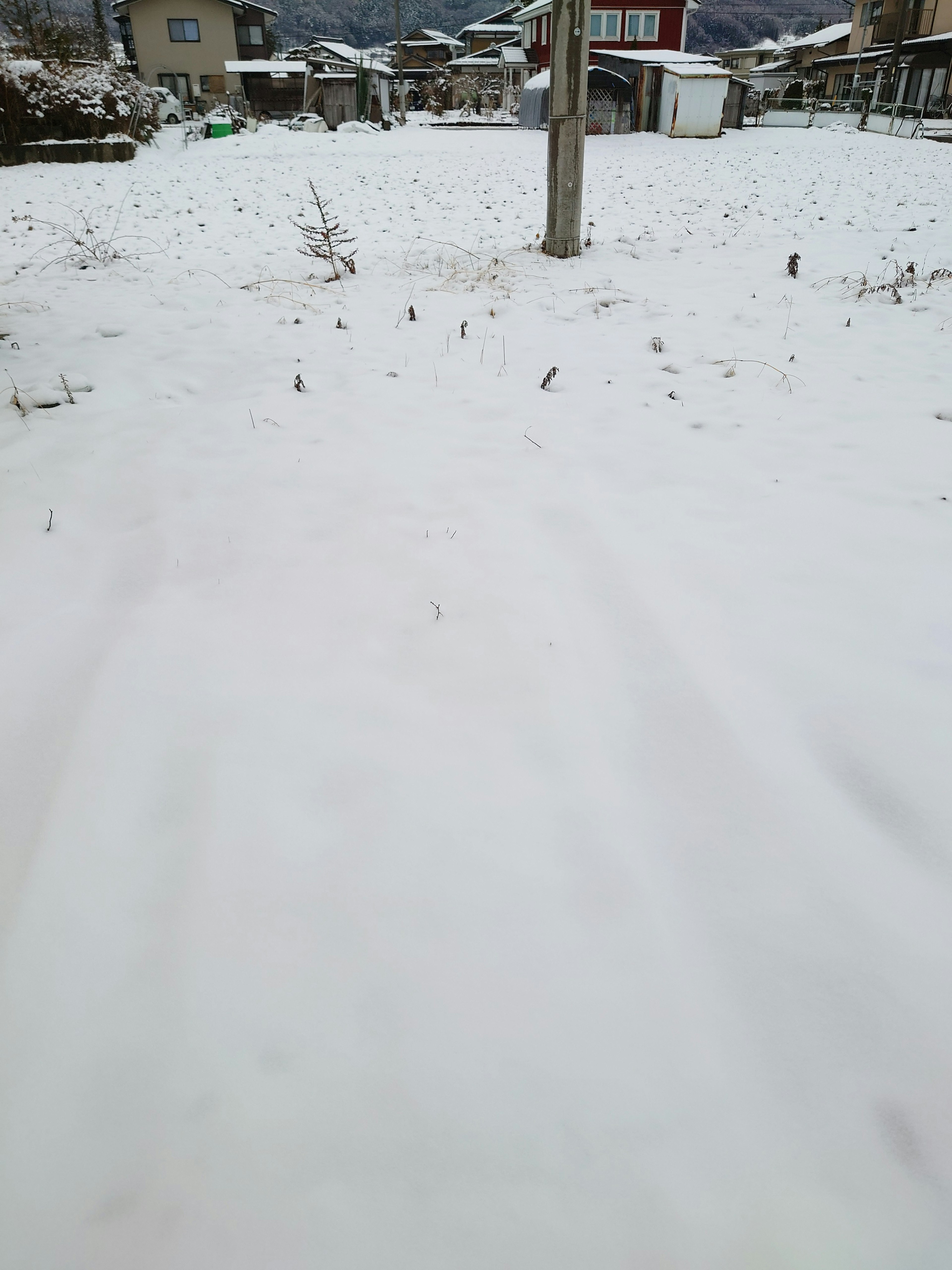 Snow-covered open field with surrounding houses