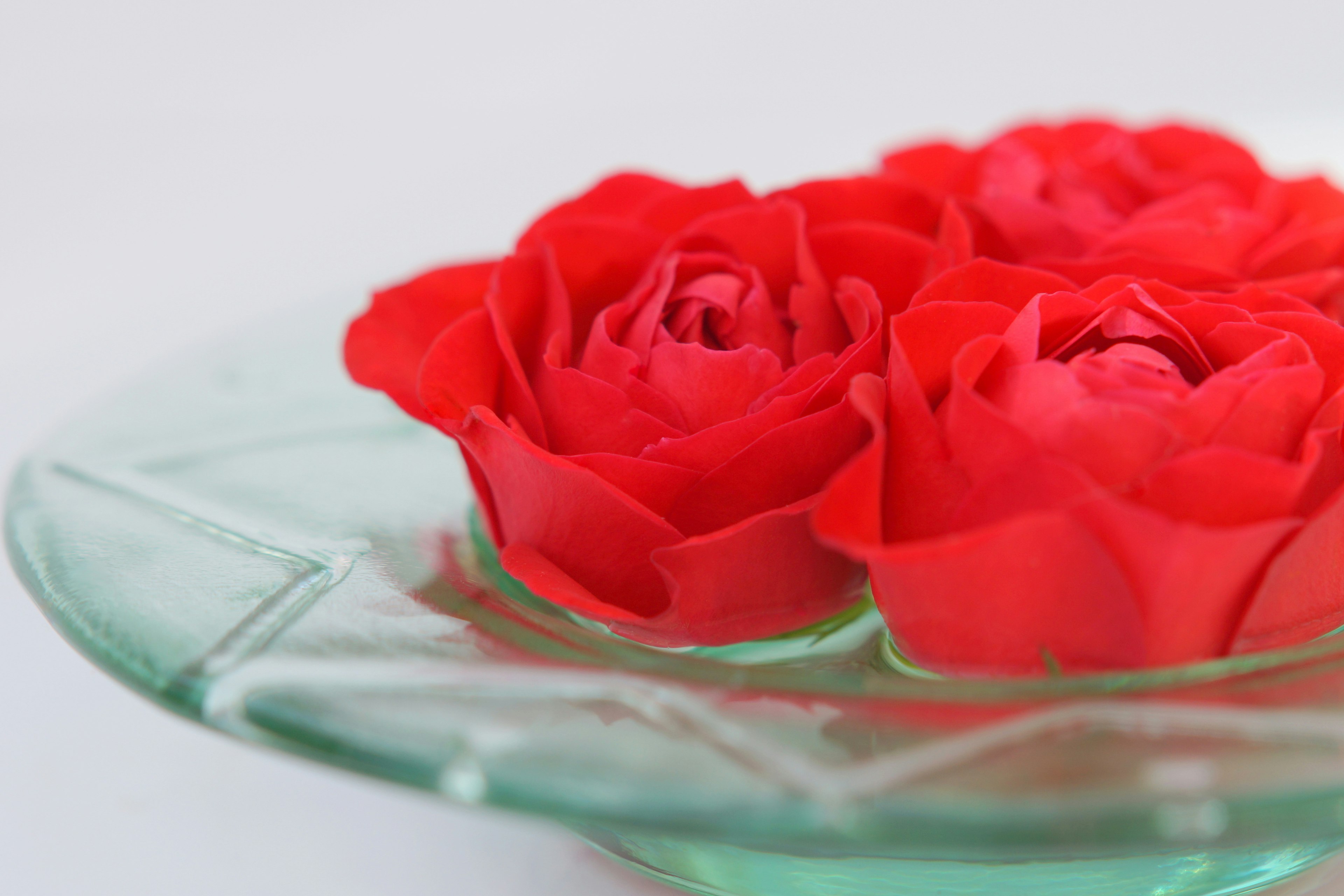 Trois roses rouges disposées dans un plat en verre transparent