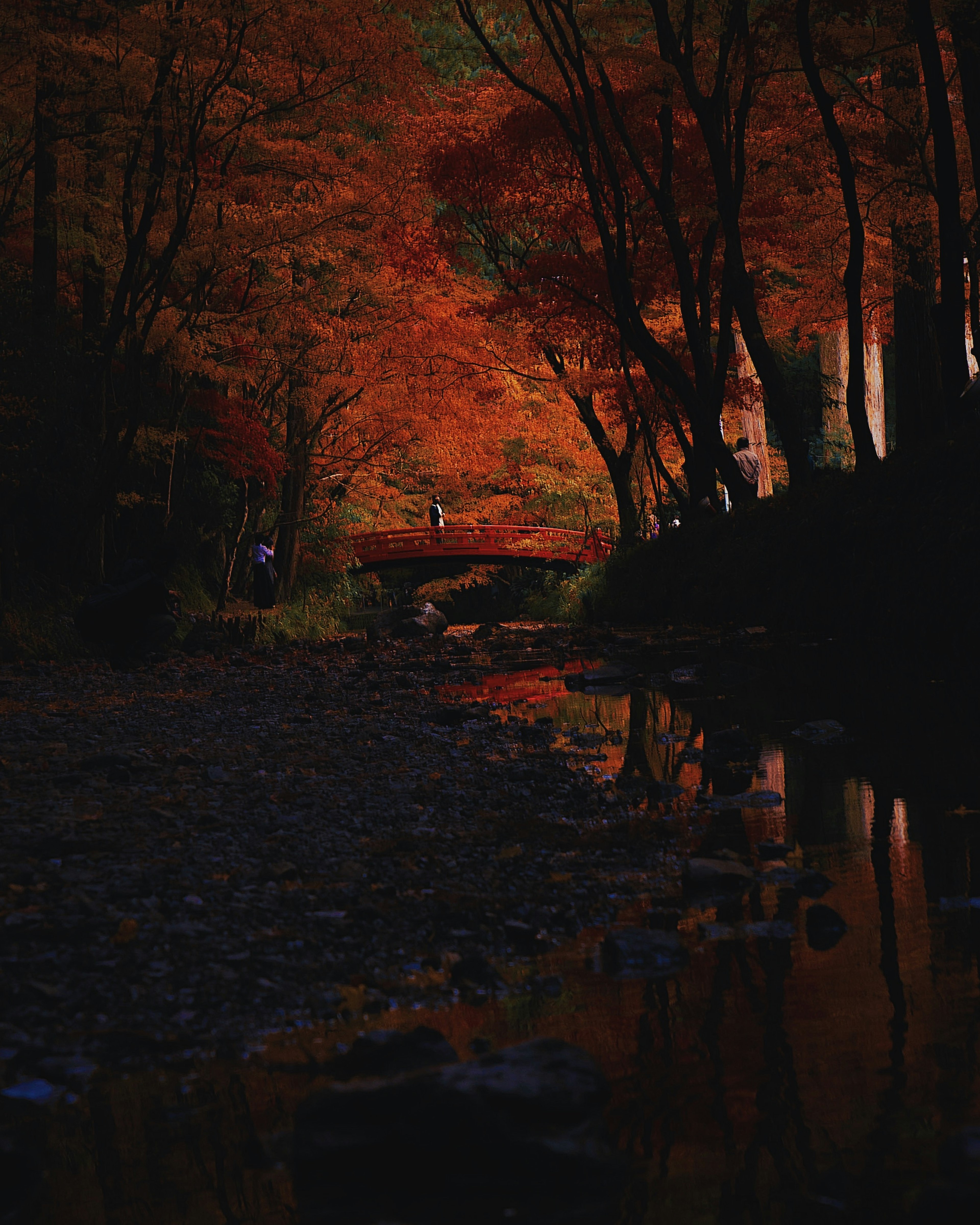 秋の紅葉が映る静かな小川の風景