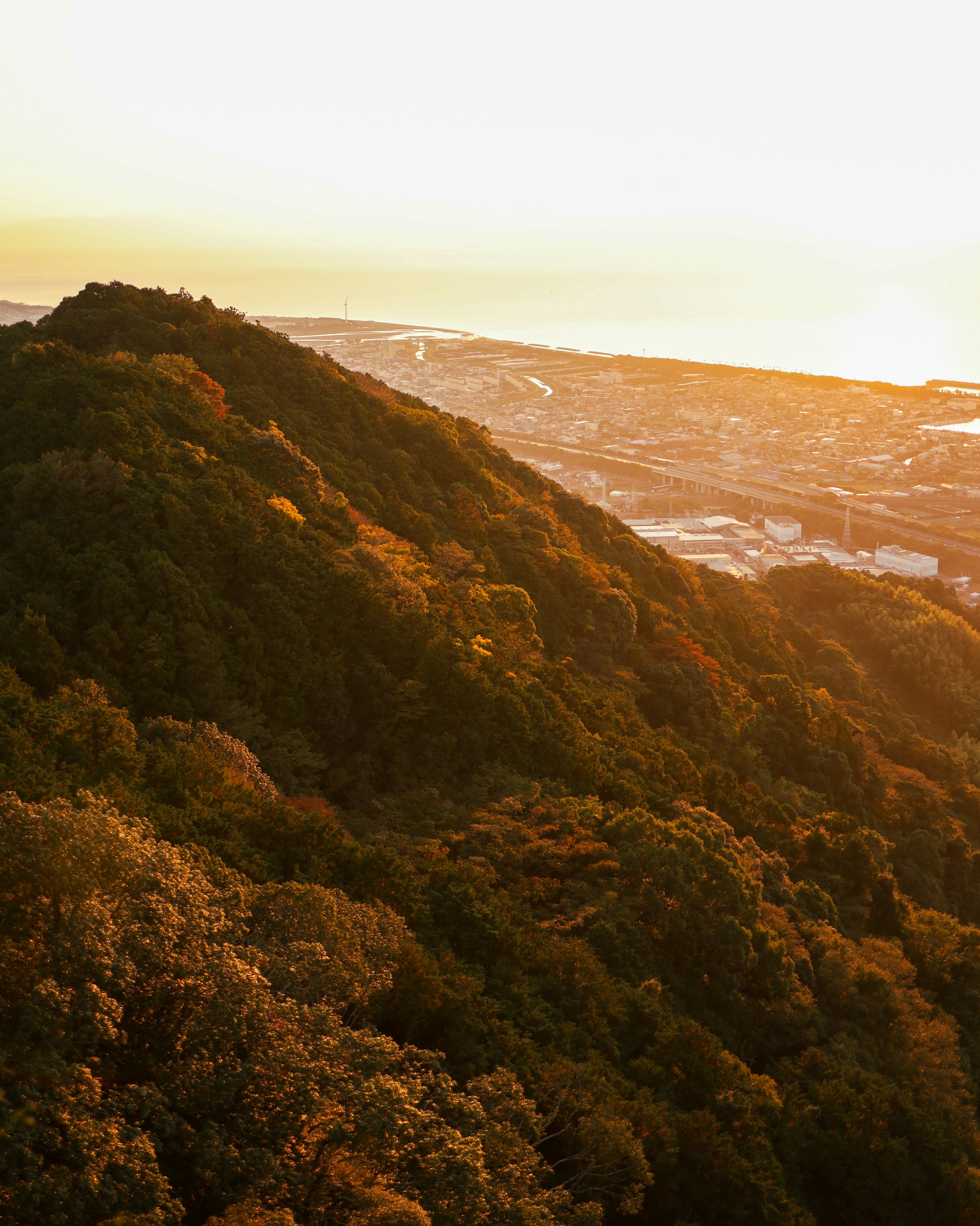 Tramonto su colline ondulate con vista sulla costa