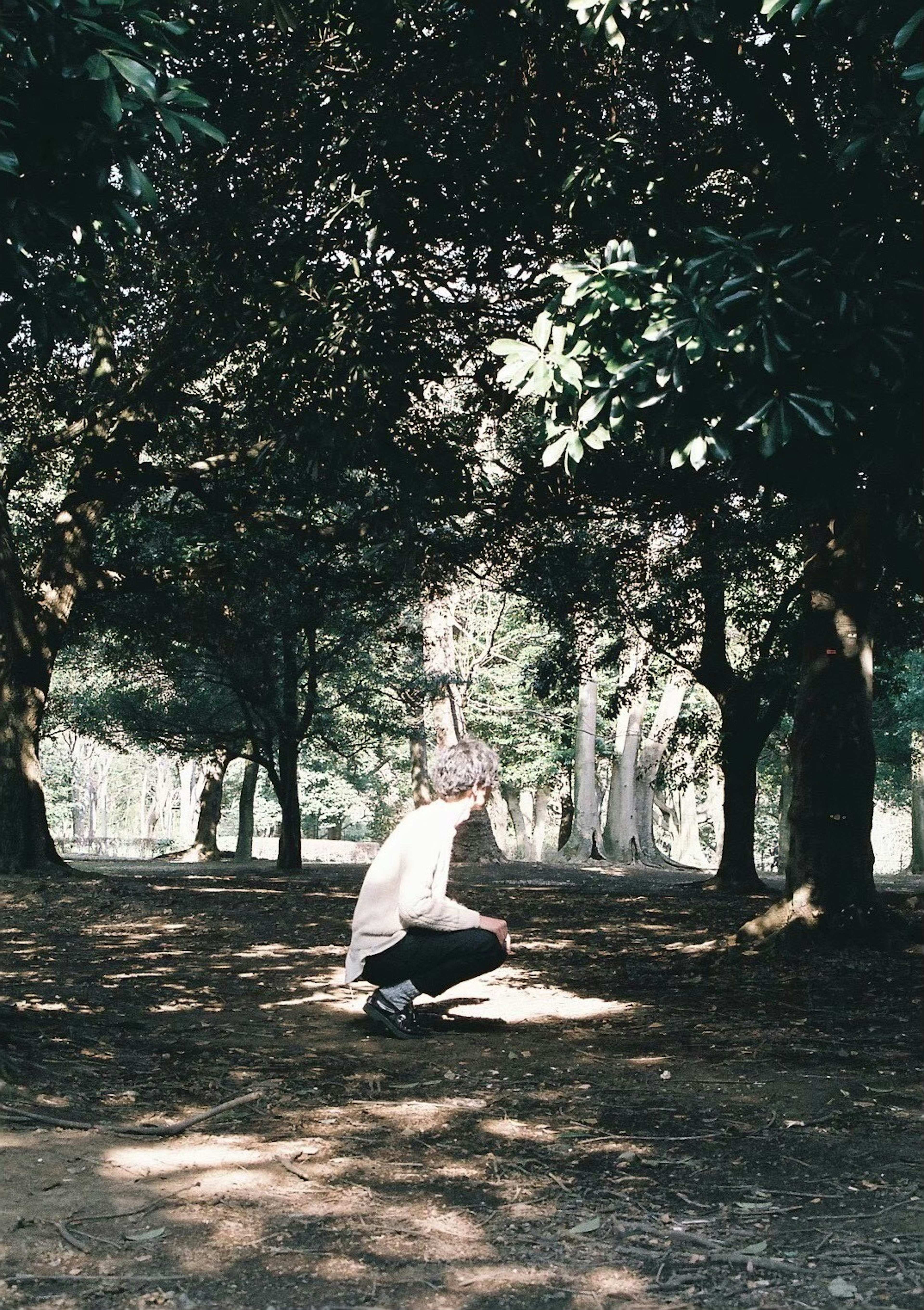 A person crouching between trees in a forest