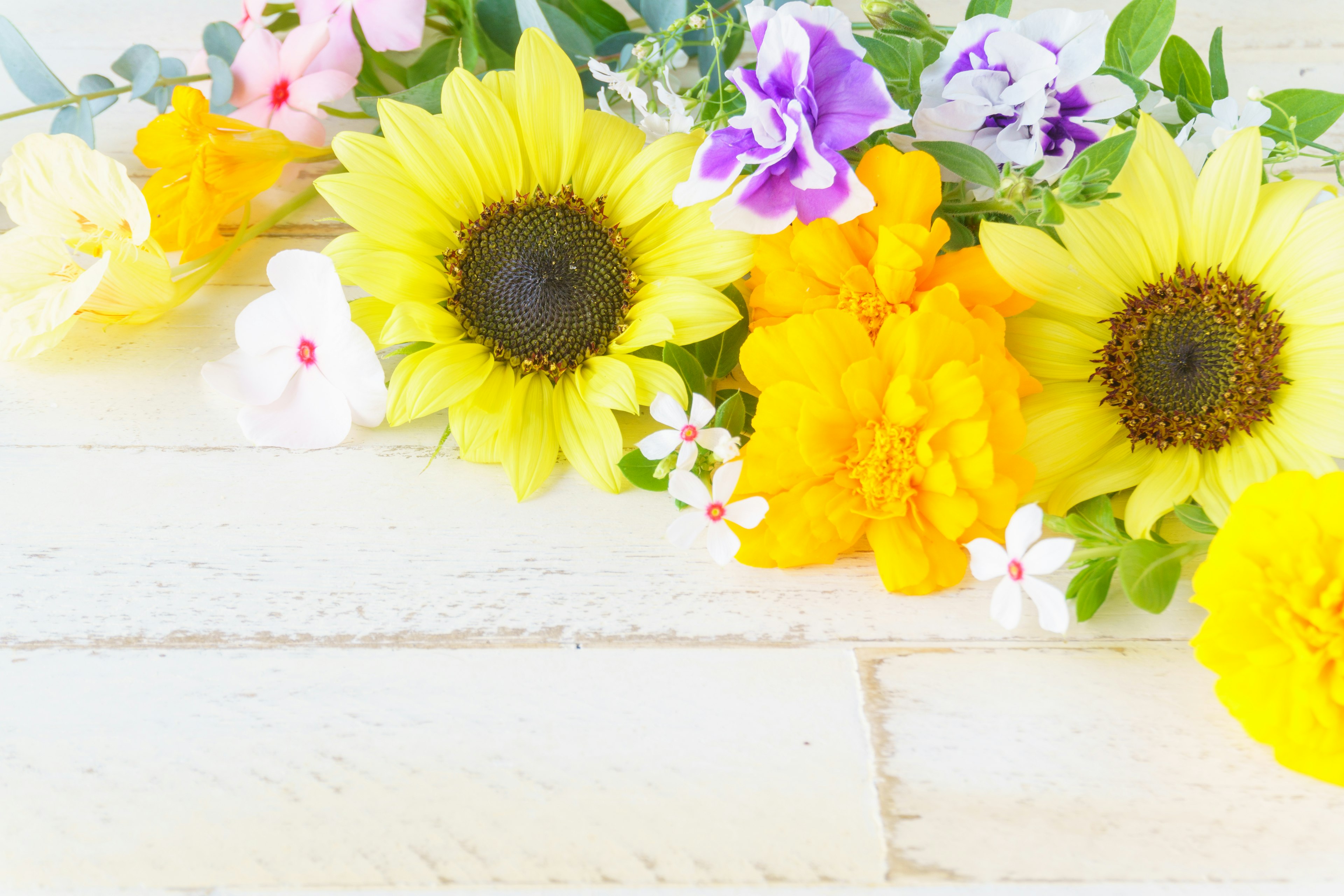 Arrangement coloré de fleurs avec des tournesols et diverses fleurs