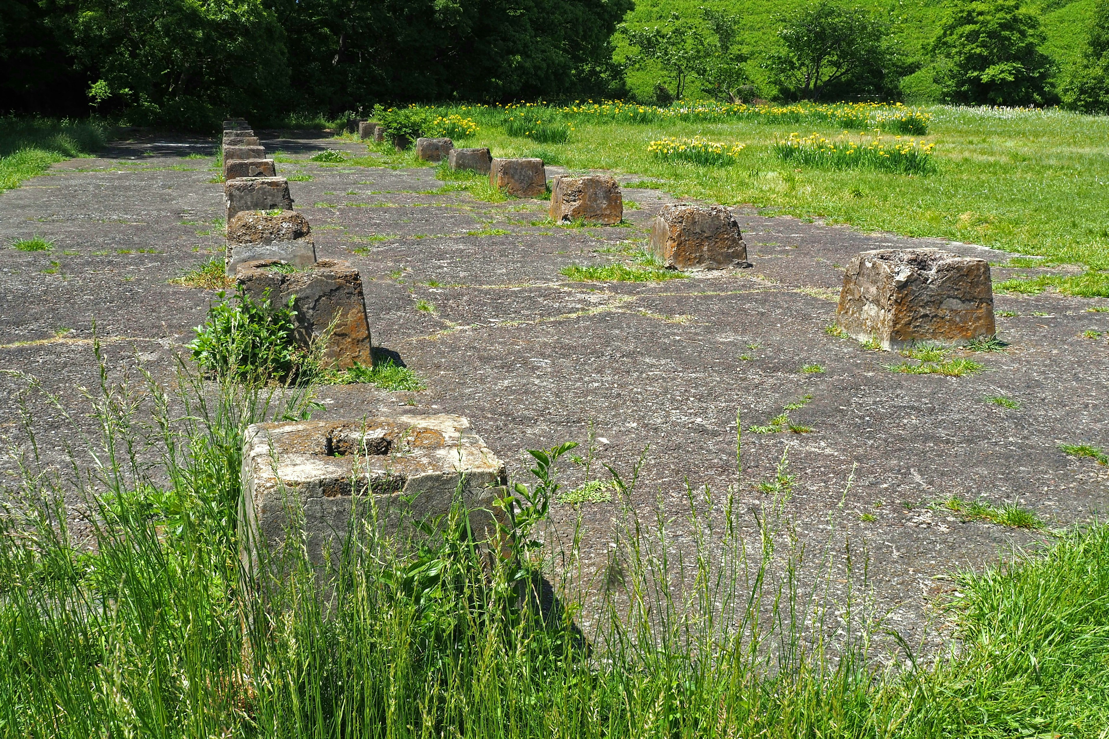 Un paysage avec des fondations en béton recouvertes d'herbe