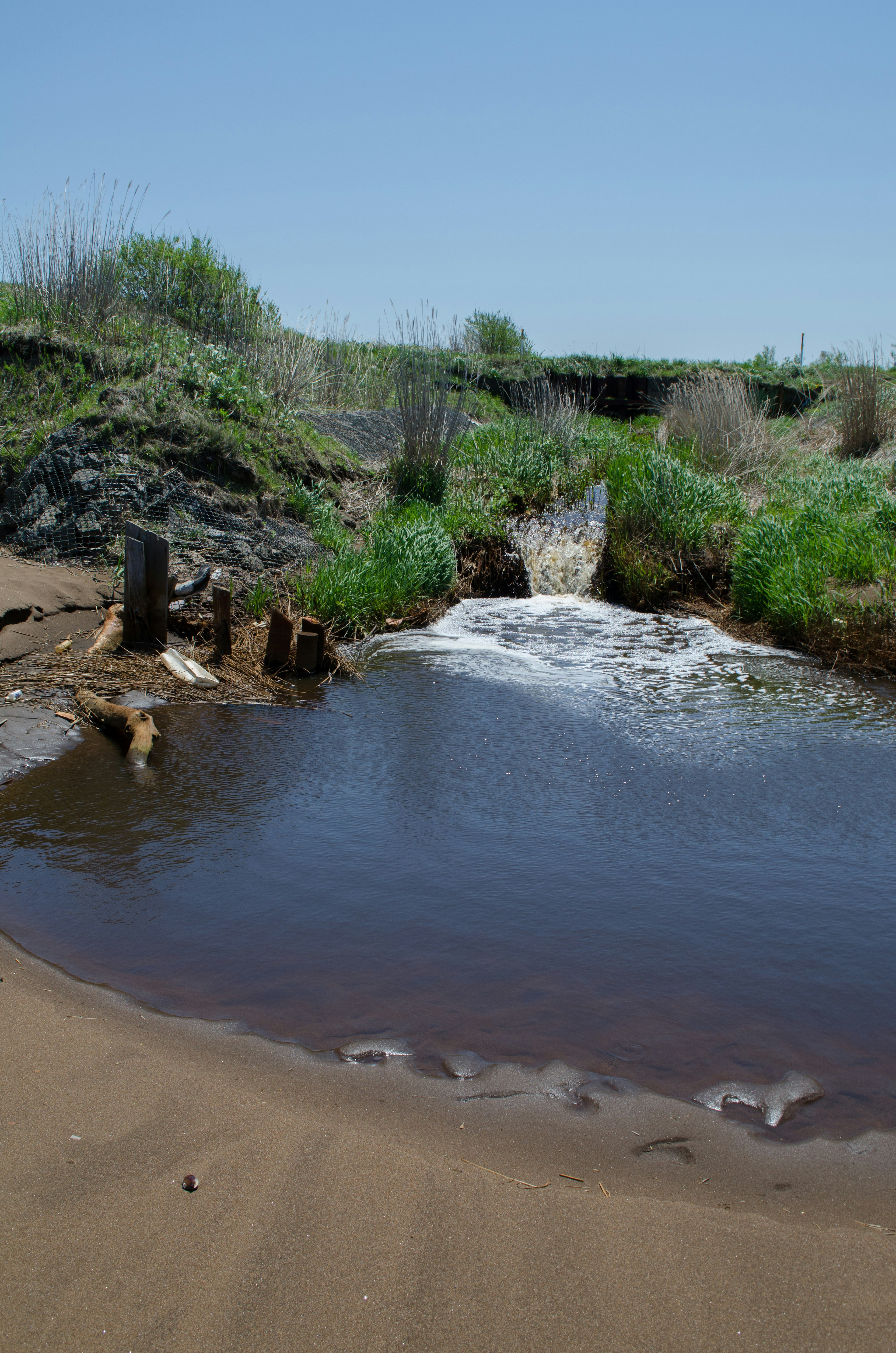 Paisaje con un pequeño estanque y agua fluyendo rodeado de vegetación verde