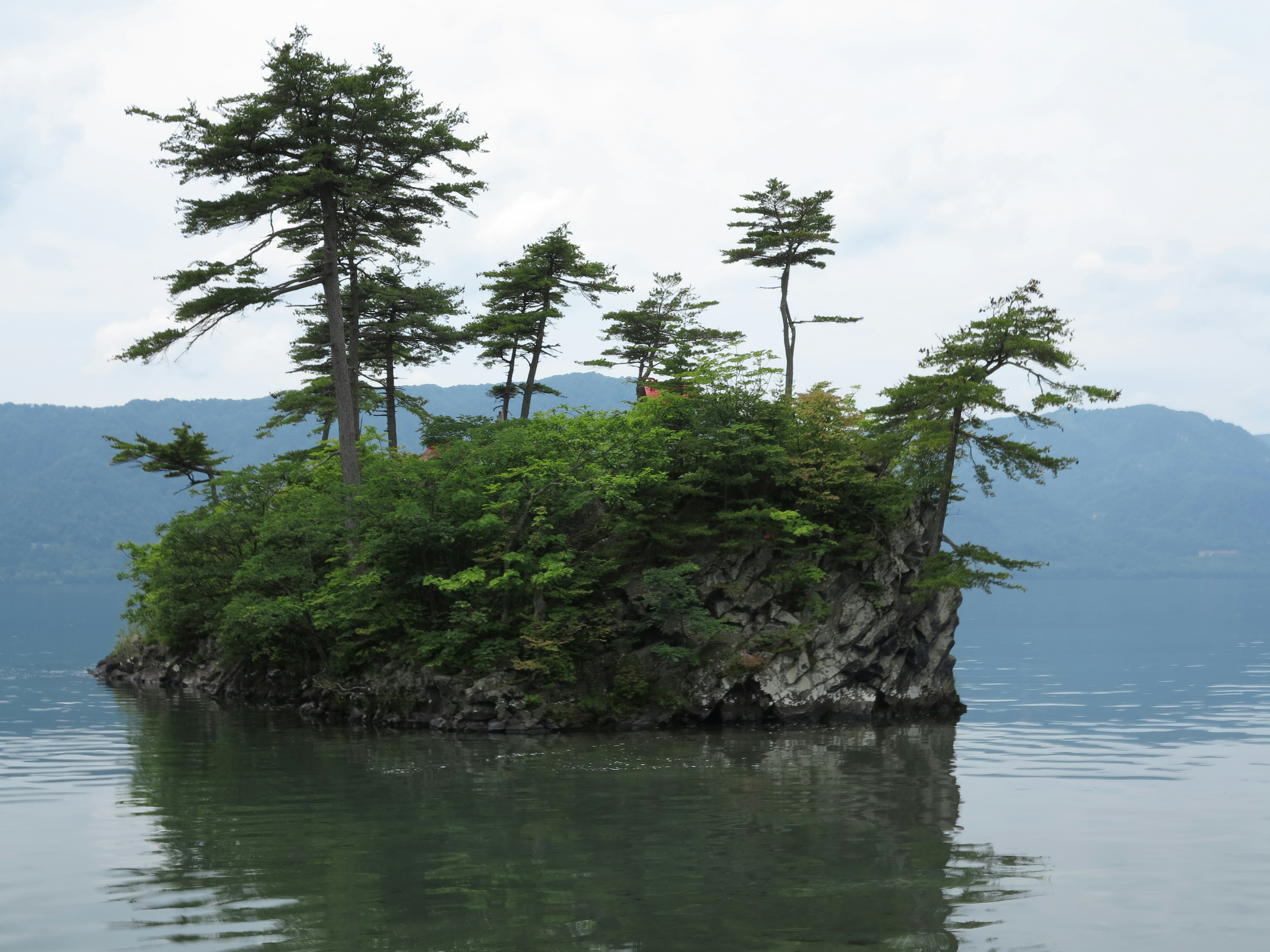 Pulau kecil dengan pohon di danau tenang