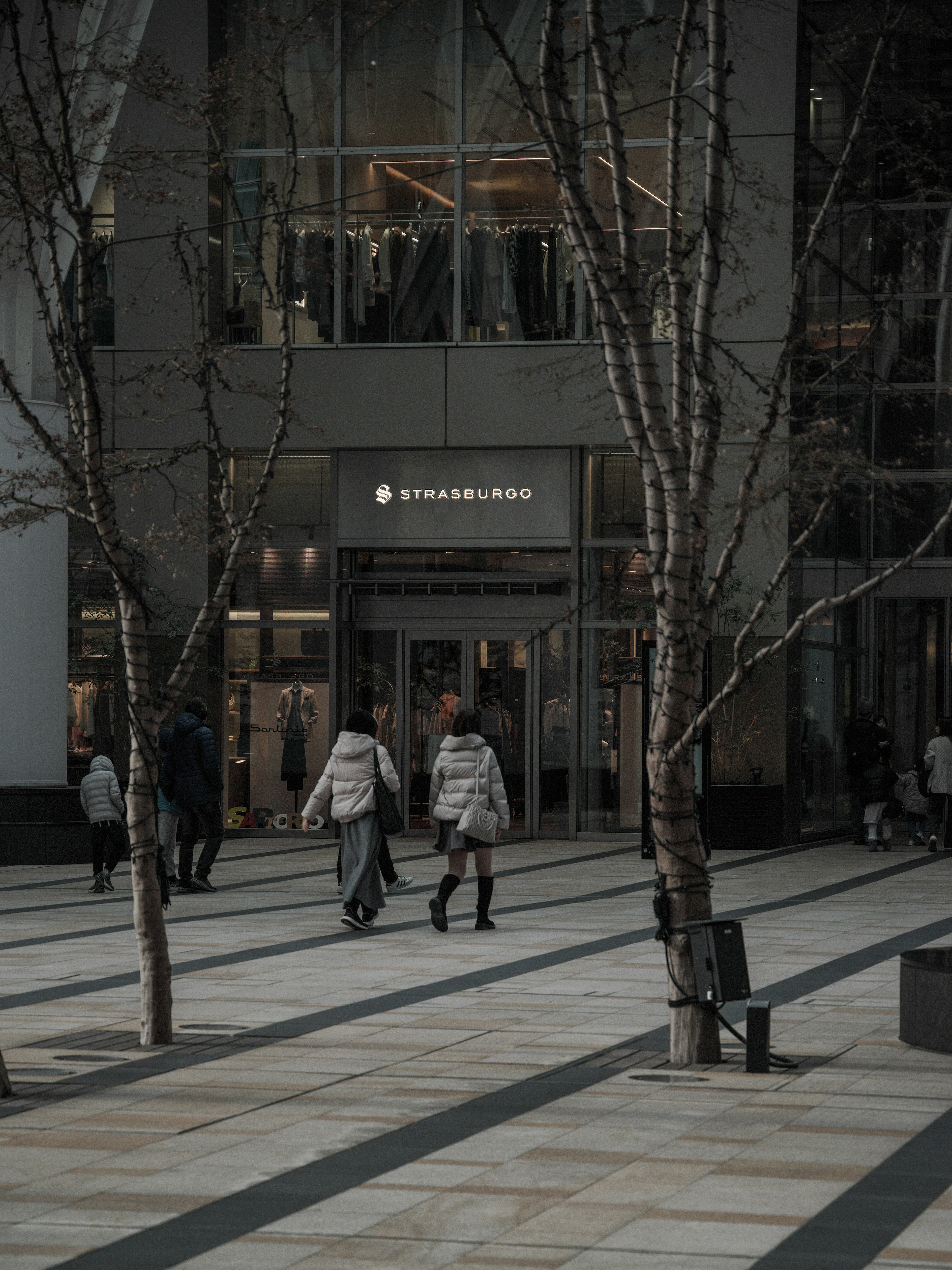 スターバックスの店舗前を歩く人々と樹木がある街の景色