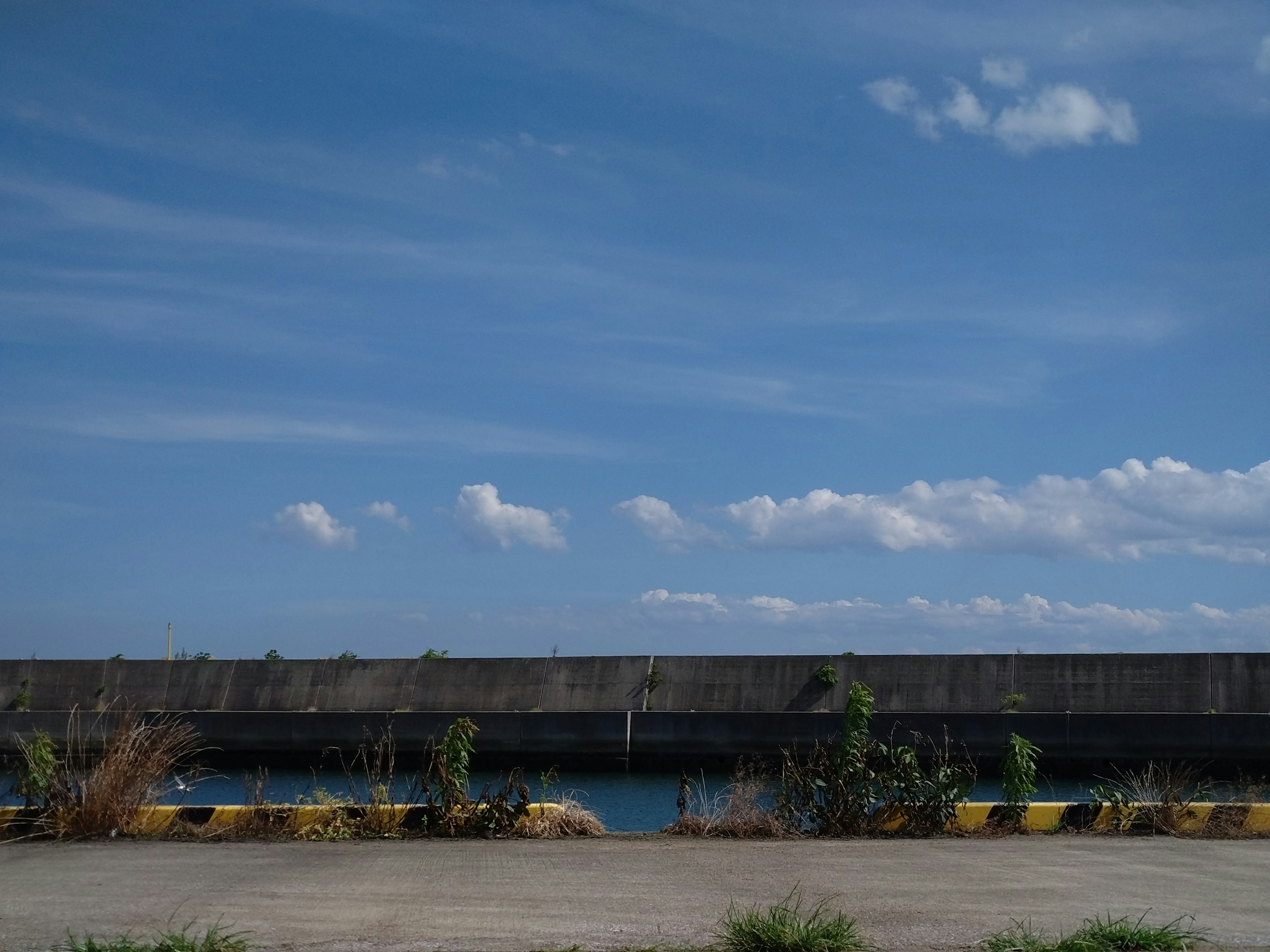 Betonmauer am Meer unter einem blauen Himmel mit verstreuten Wolken und überwucherter Vegetation