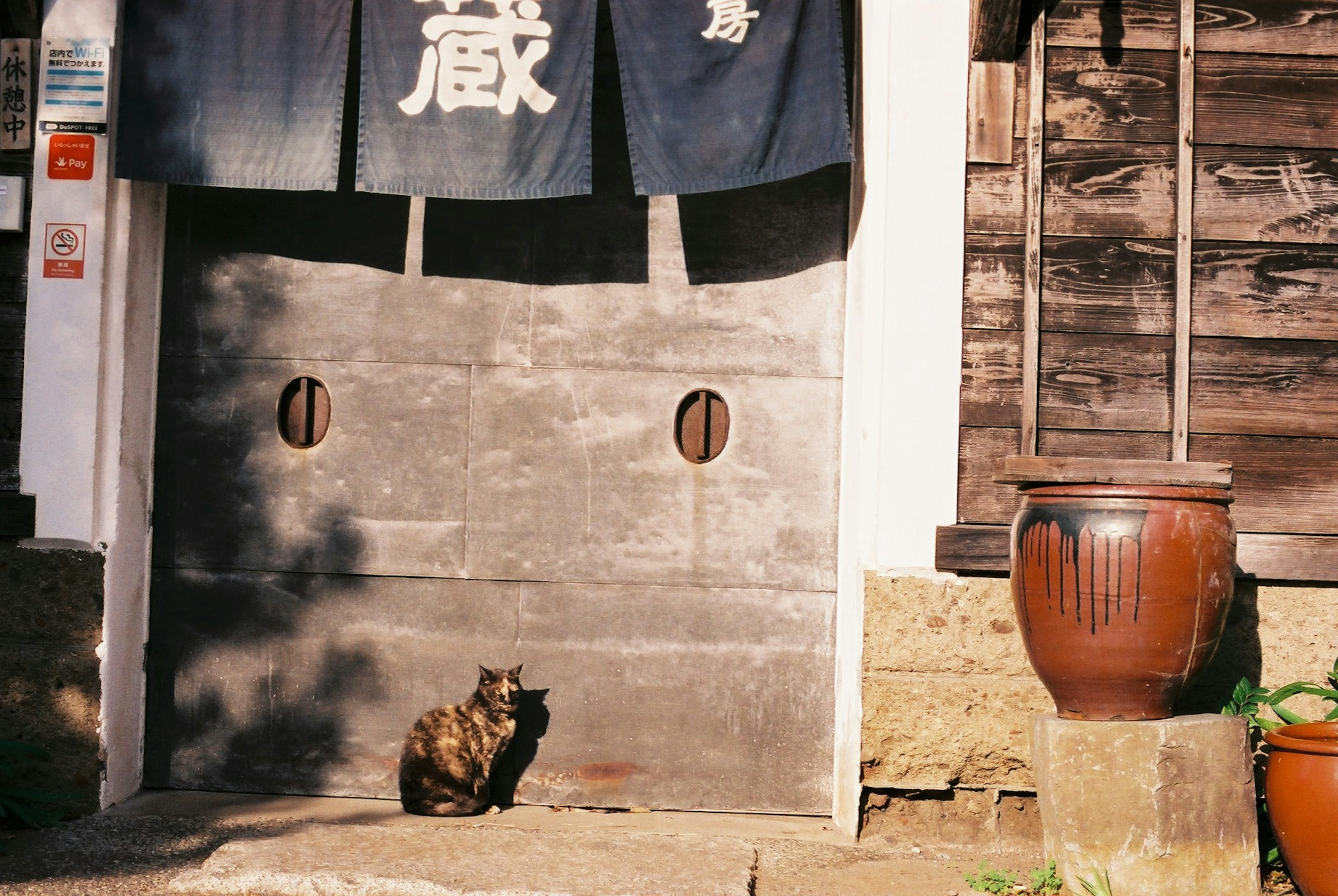 A cat sitting in front of a traditional wooden house with a sliding door