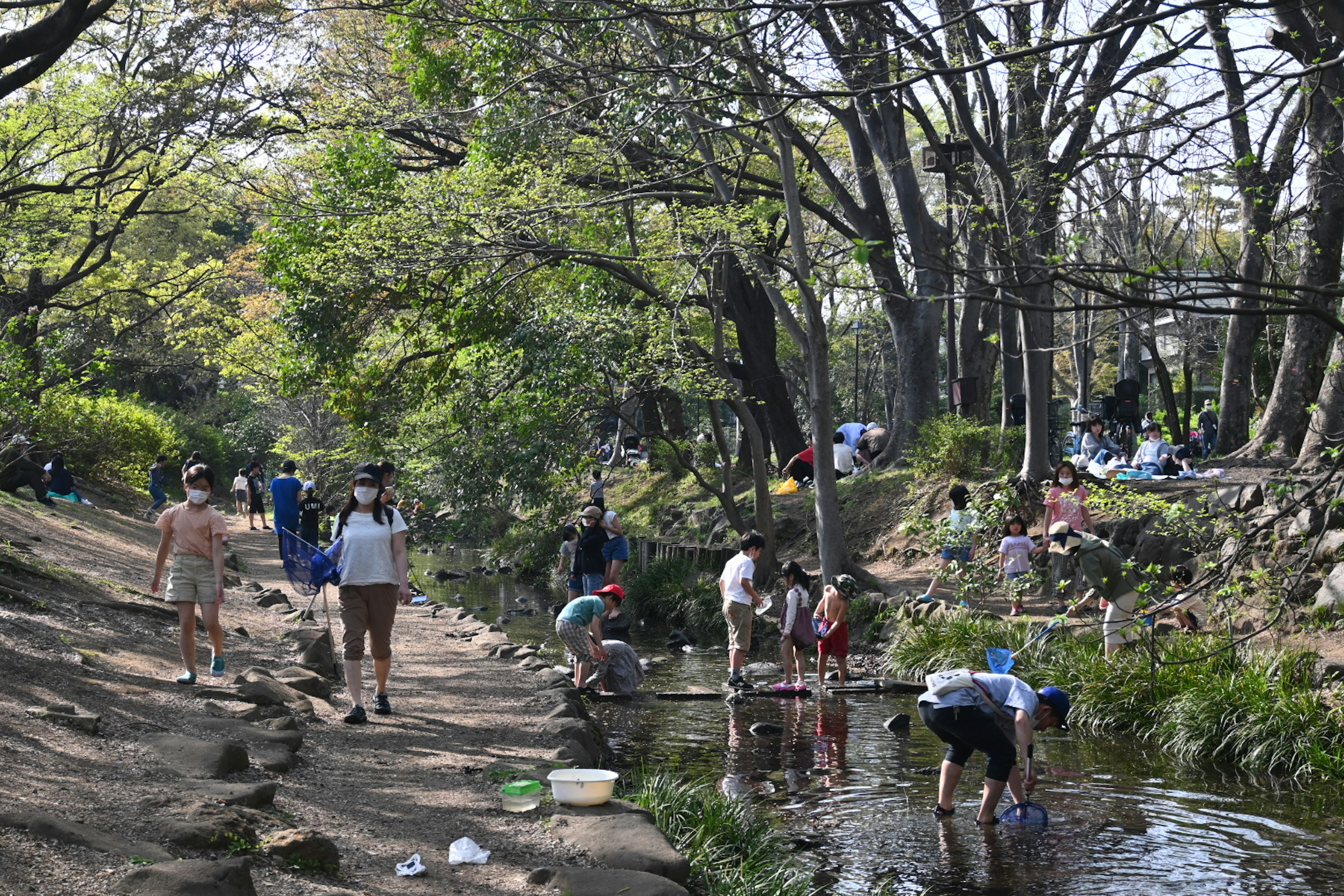 Orang-orang menikmati hari yang cerah di tepi aliran di taman yang rimbun