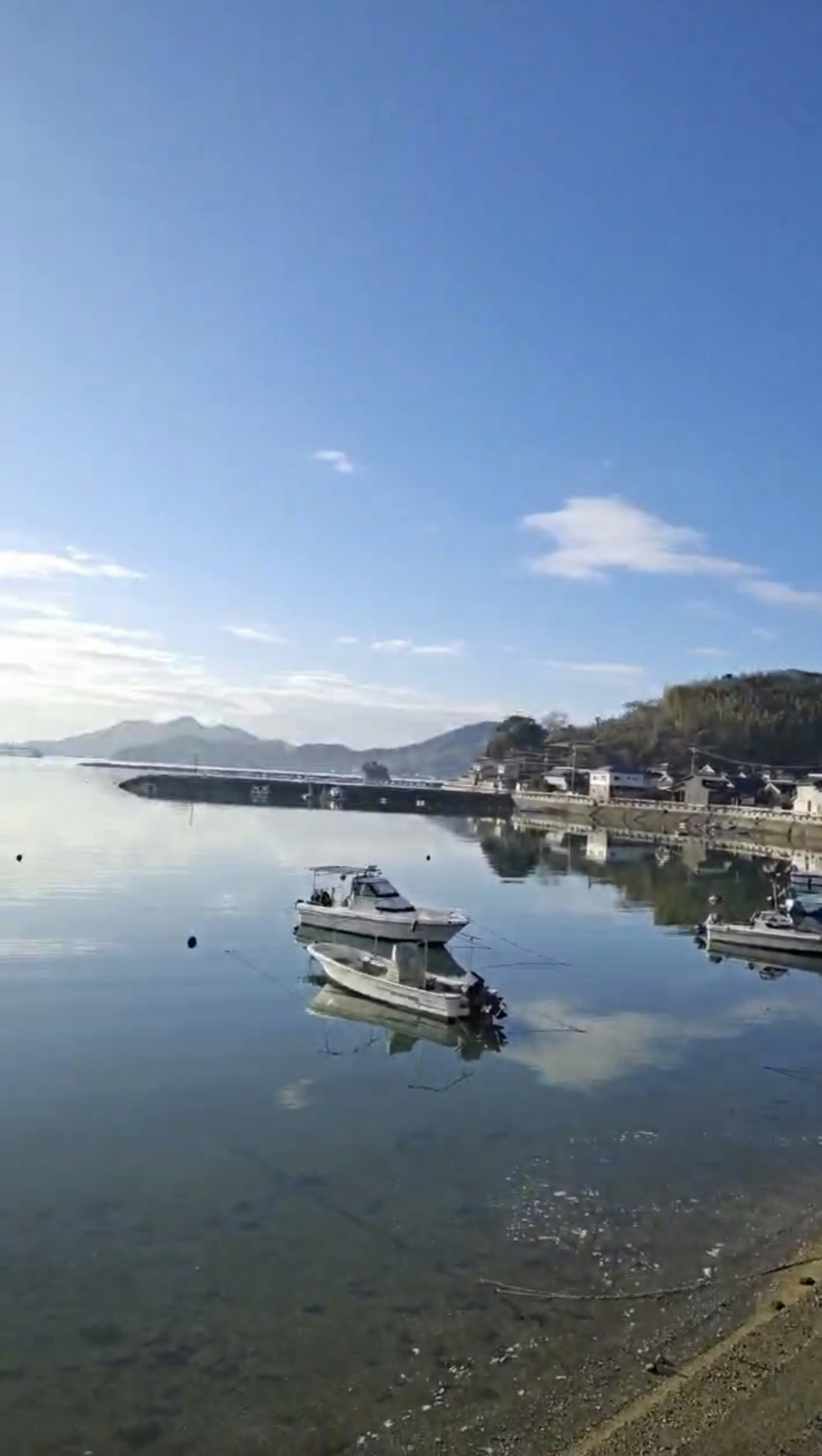 静かな港に浮かぶボートと平穏な水面の風景